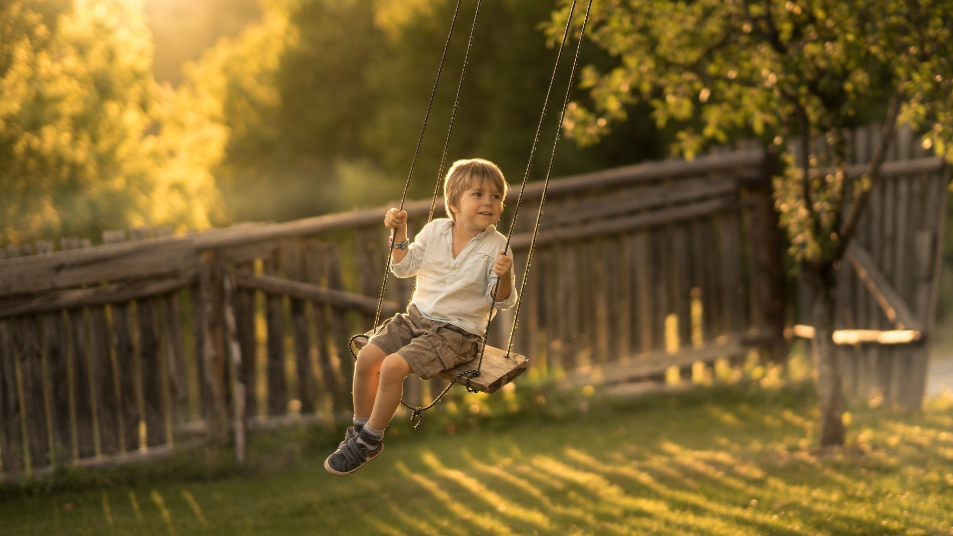 Маленький мальчик катается на качели летом