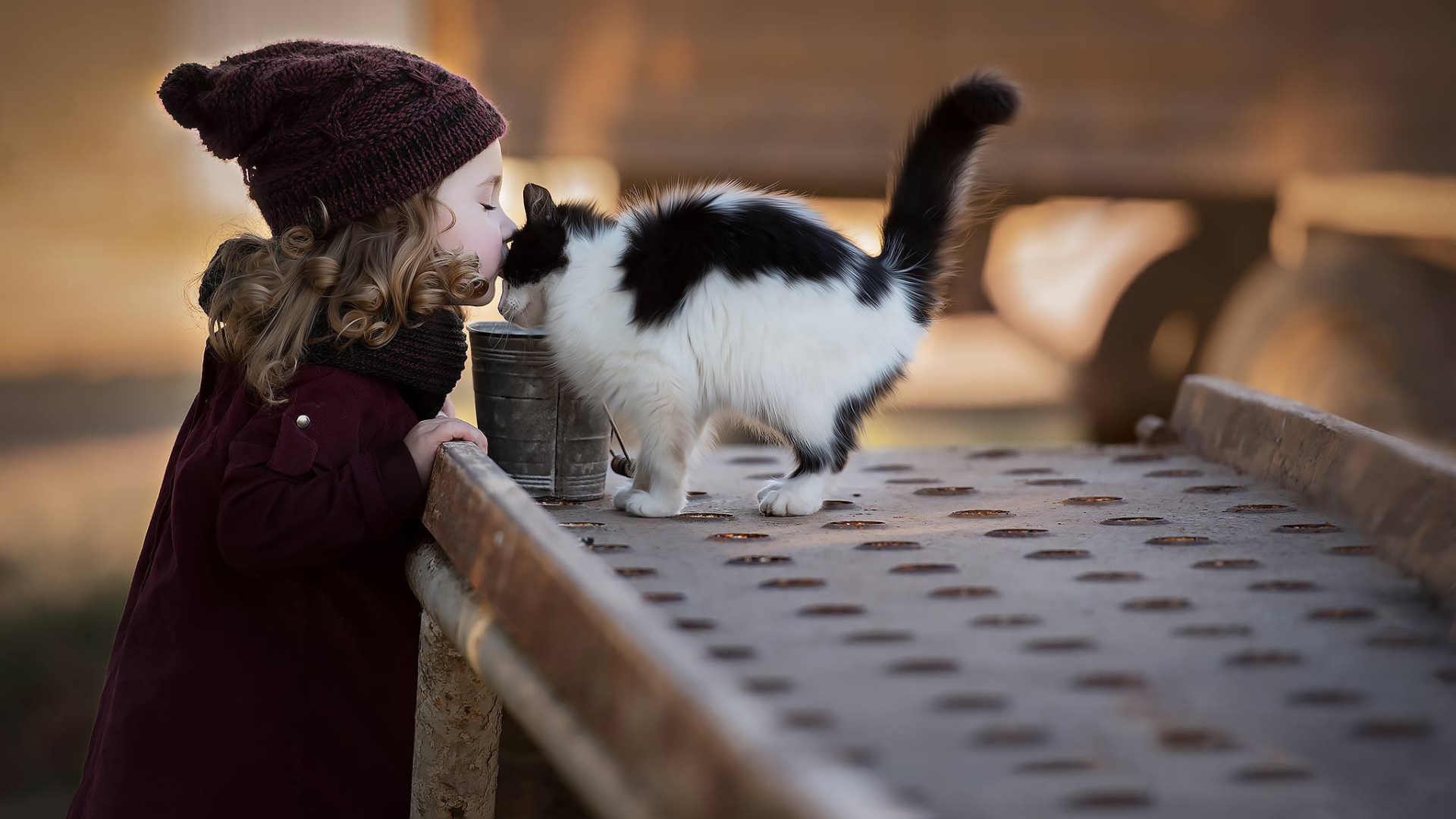 Маленькая девочка целует котенка 