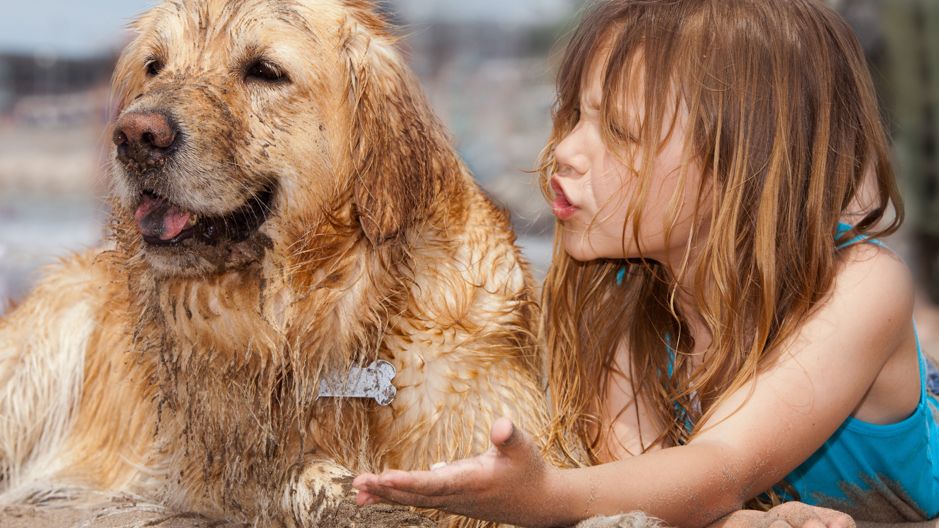 Маленькая девочка с мокрой собакой на песке