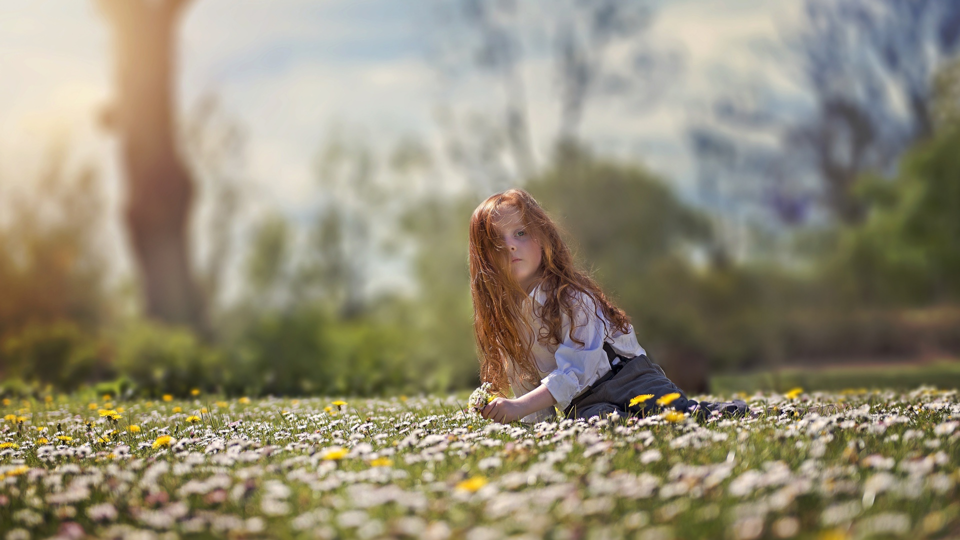 Маленькая рыжеволосая девочка сидит на поле с белыми ромашками