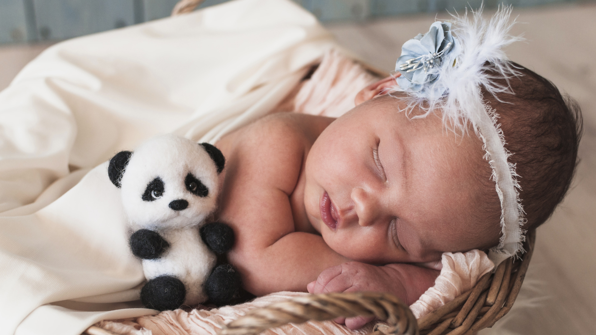 Маленькая спящая девочка с игрушечной пандой