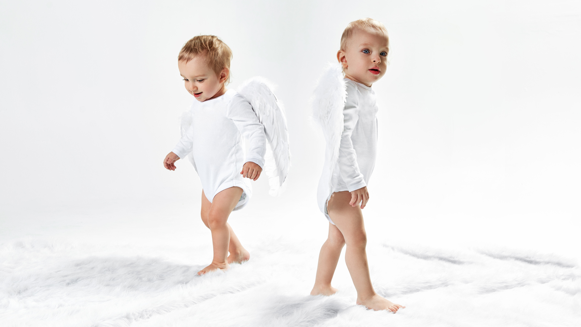 Two little boys dressed as angel on white background