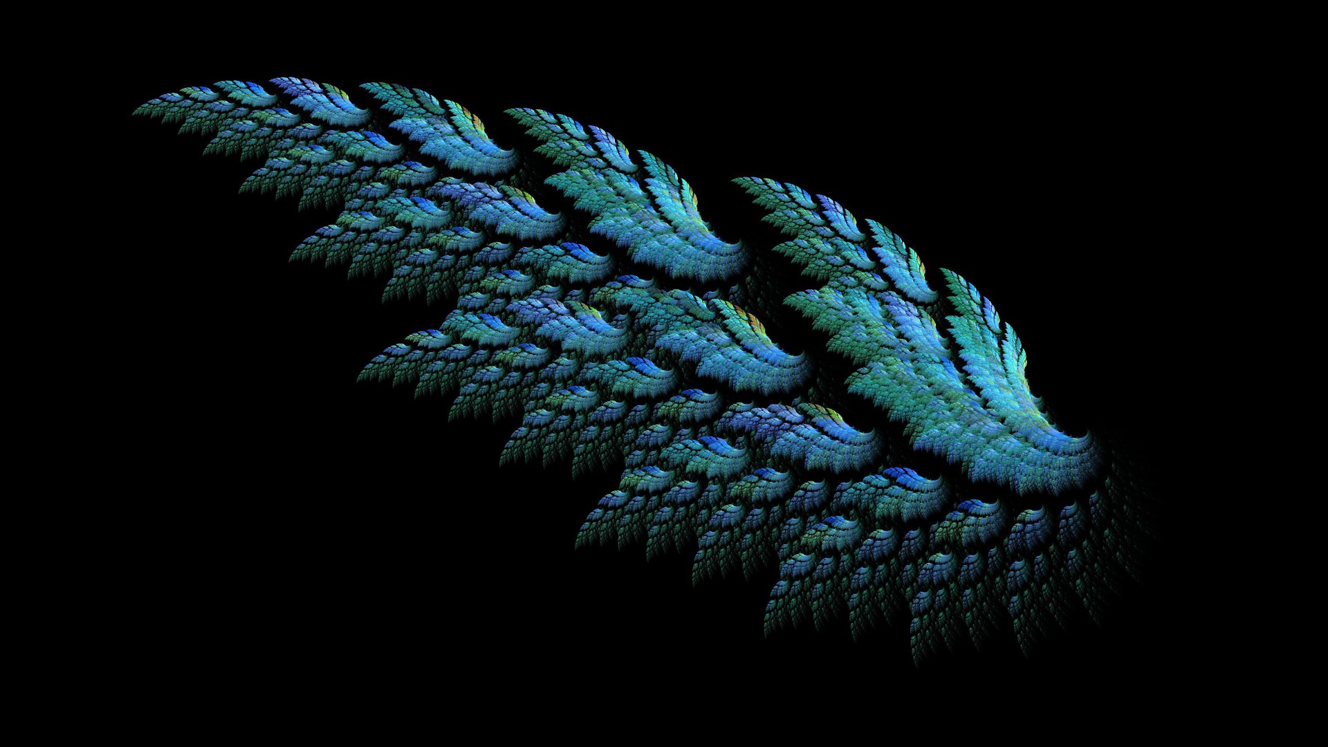 Красивое крыло на черном фоне 3д графика