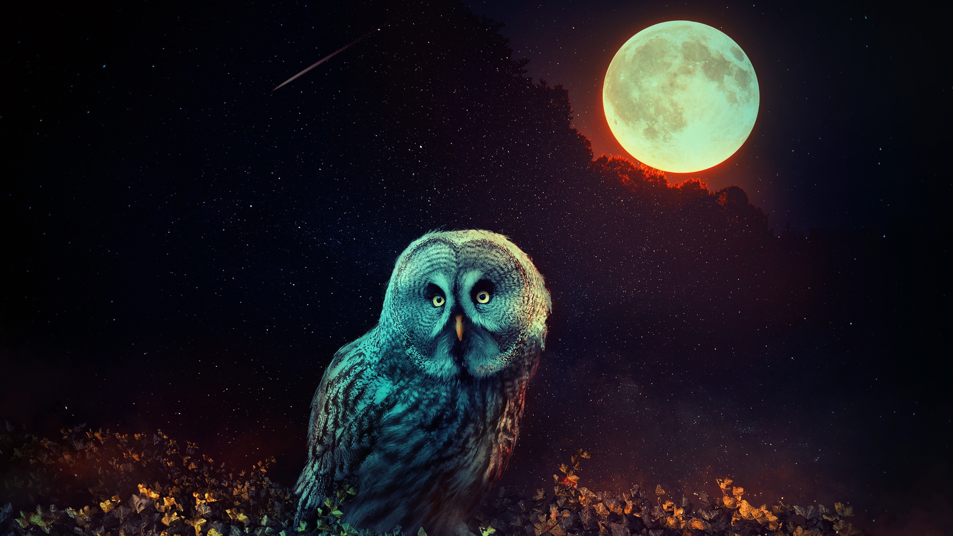 Сова  сидит на траве на фоне большой луны