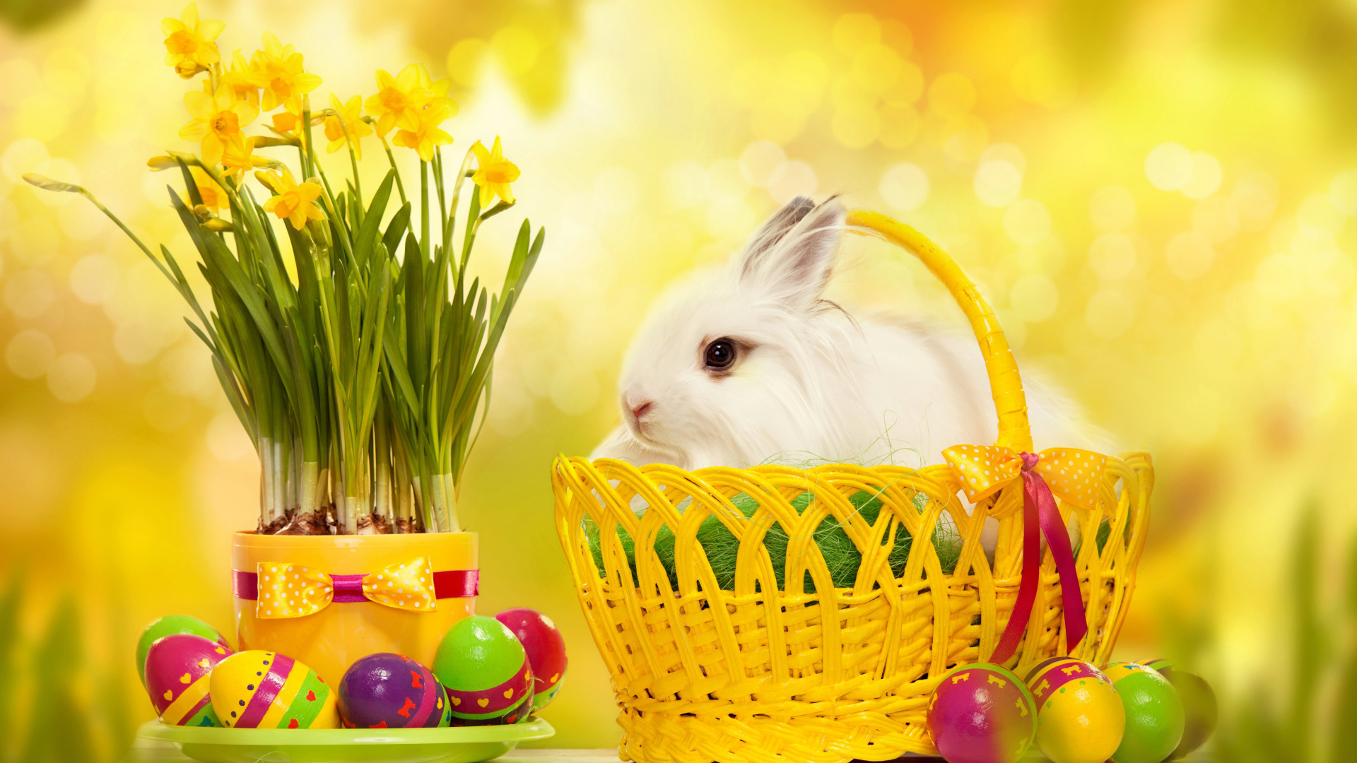 Пушистый белый кролик в корзине на столе с нарциссами и крашеными яйцами