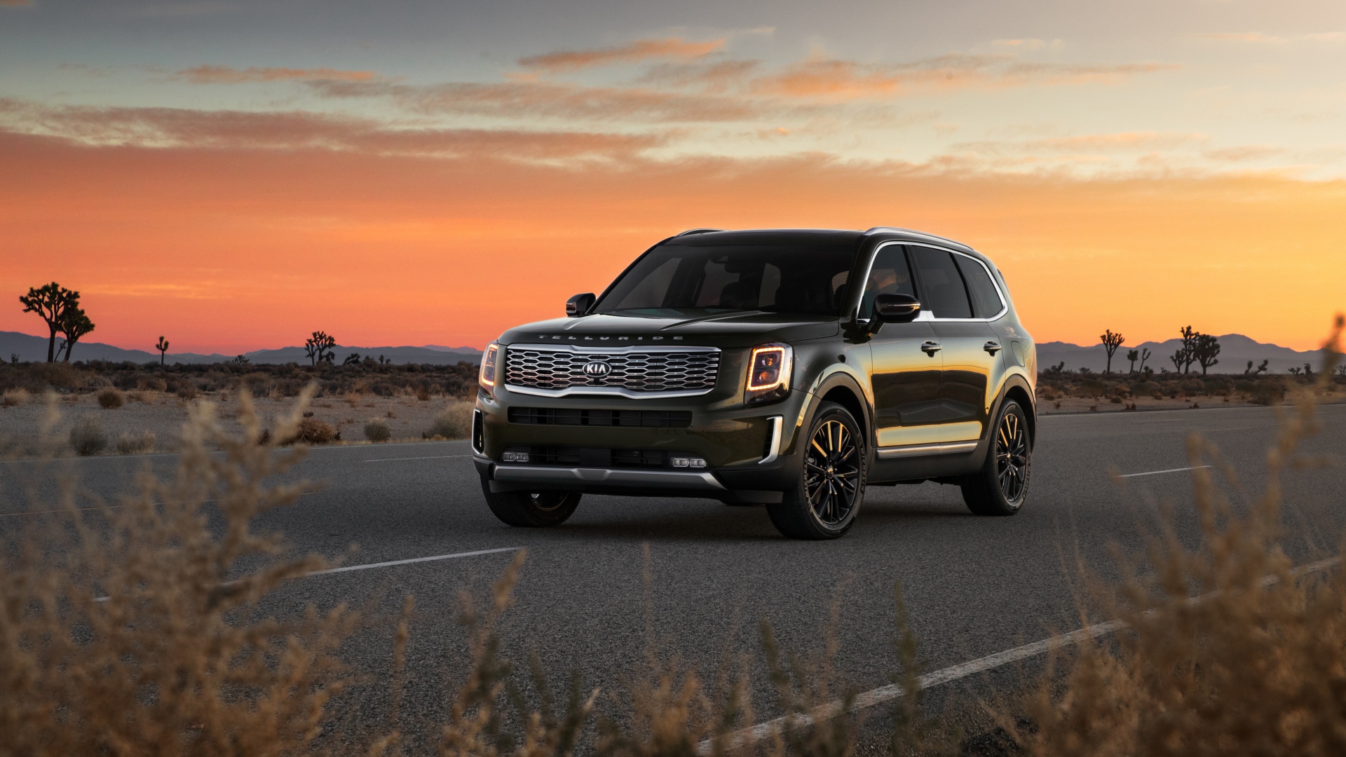 Черный внедорожник Kia Telluride, 2020 года на фоне заката 