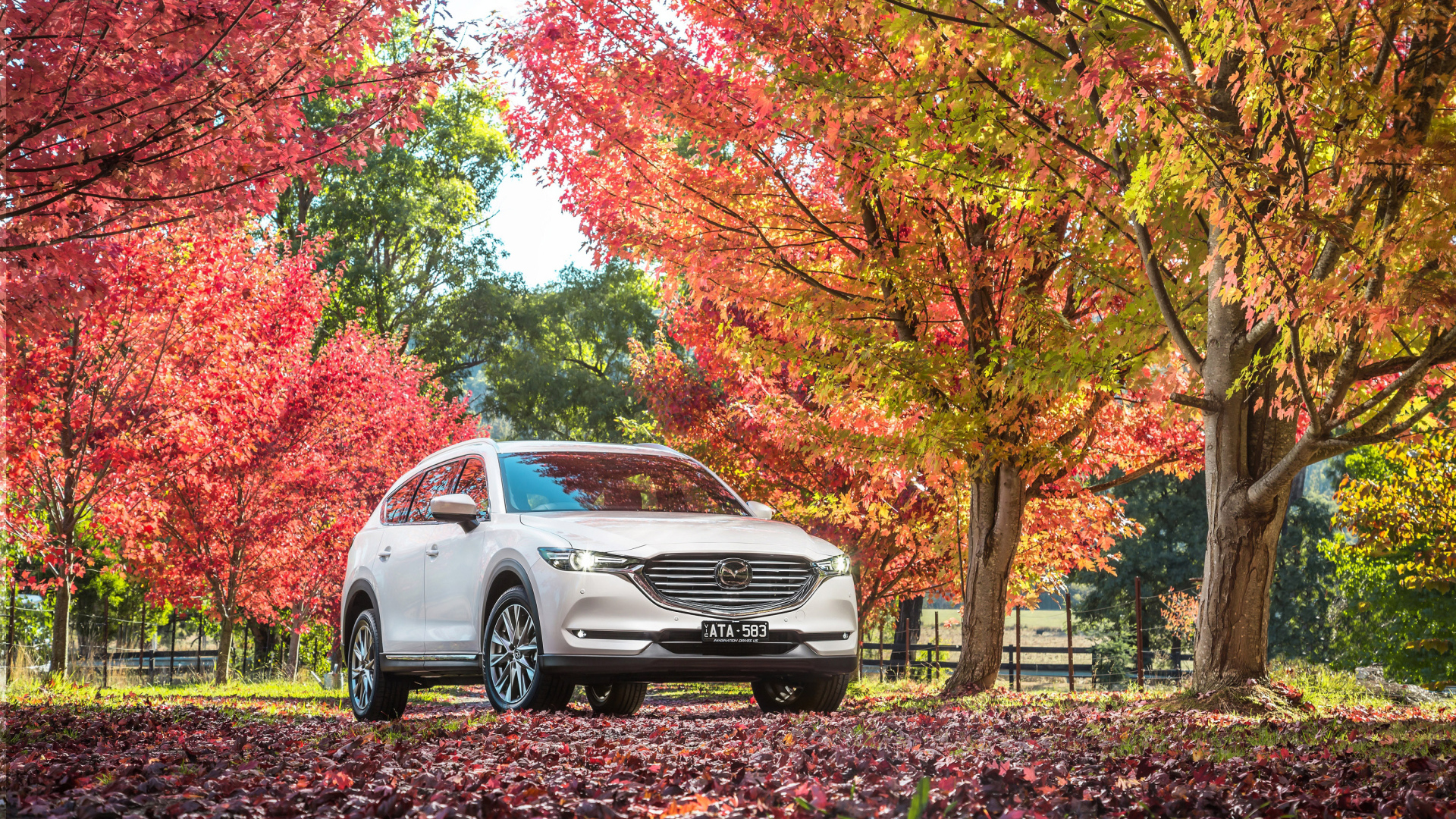 Белый автомобиль Мазда в осеннем парке