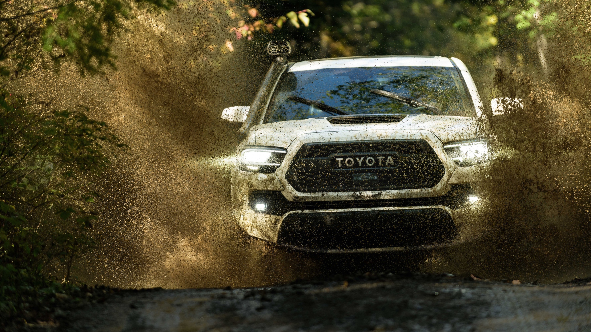 Внедорожник Toyota Tacoma, 2020 года едет по грязной воде