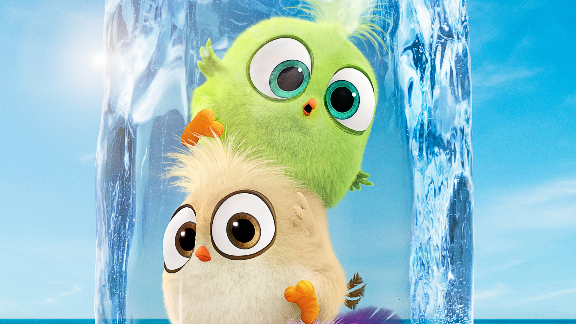 Newborn birds in ice cartoon Angry Birds at cinema 2, 2019