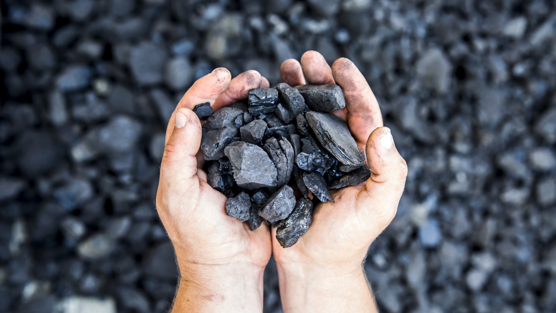 Куски угля в руках у мужчины 