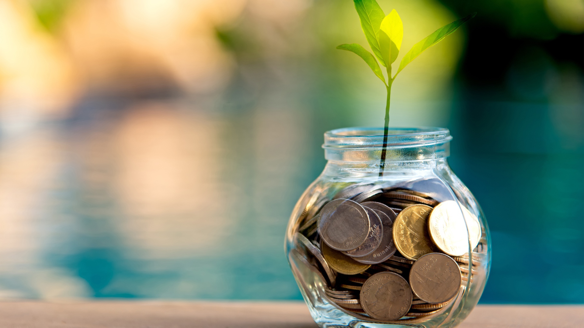 Зеленый росток прорастает из копилки 