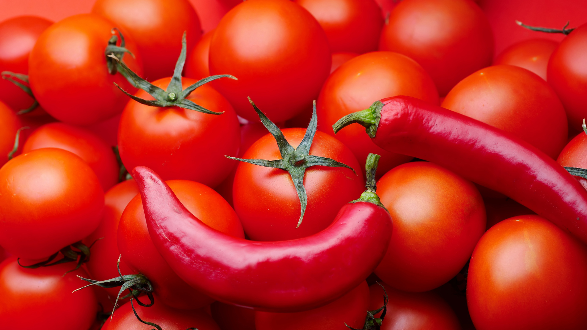 Много красных помидоров с красным перцем крупным планом