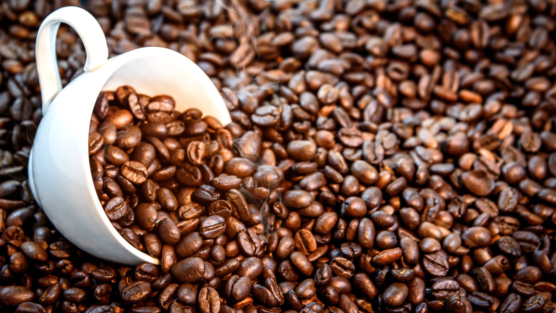 Белая чашка с жареными кофейными зернами