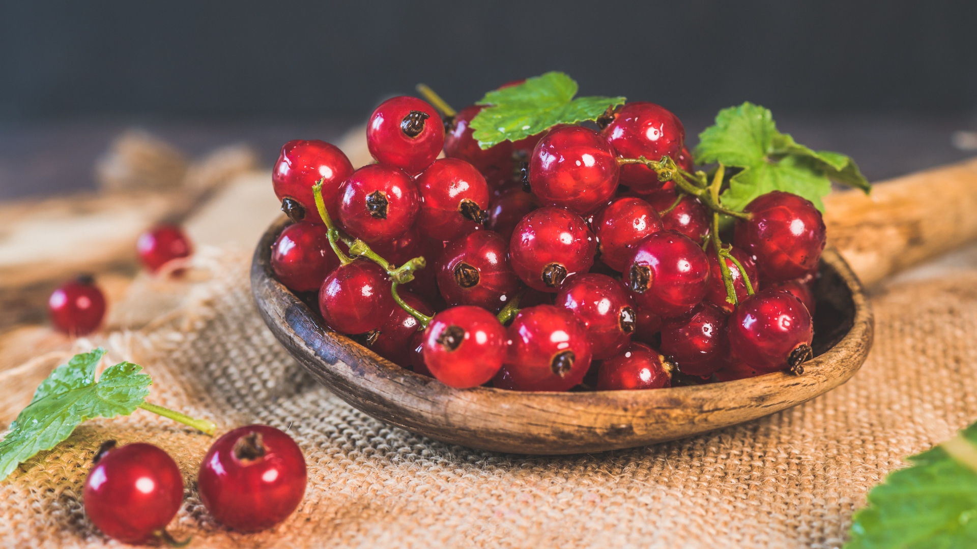 Красивая спелая красная смородина 