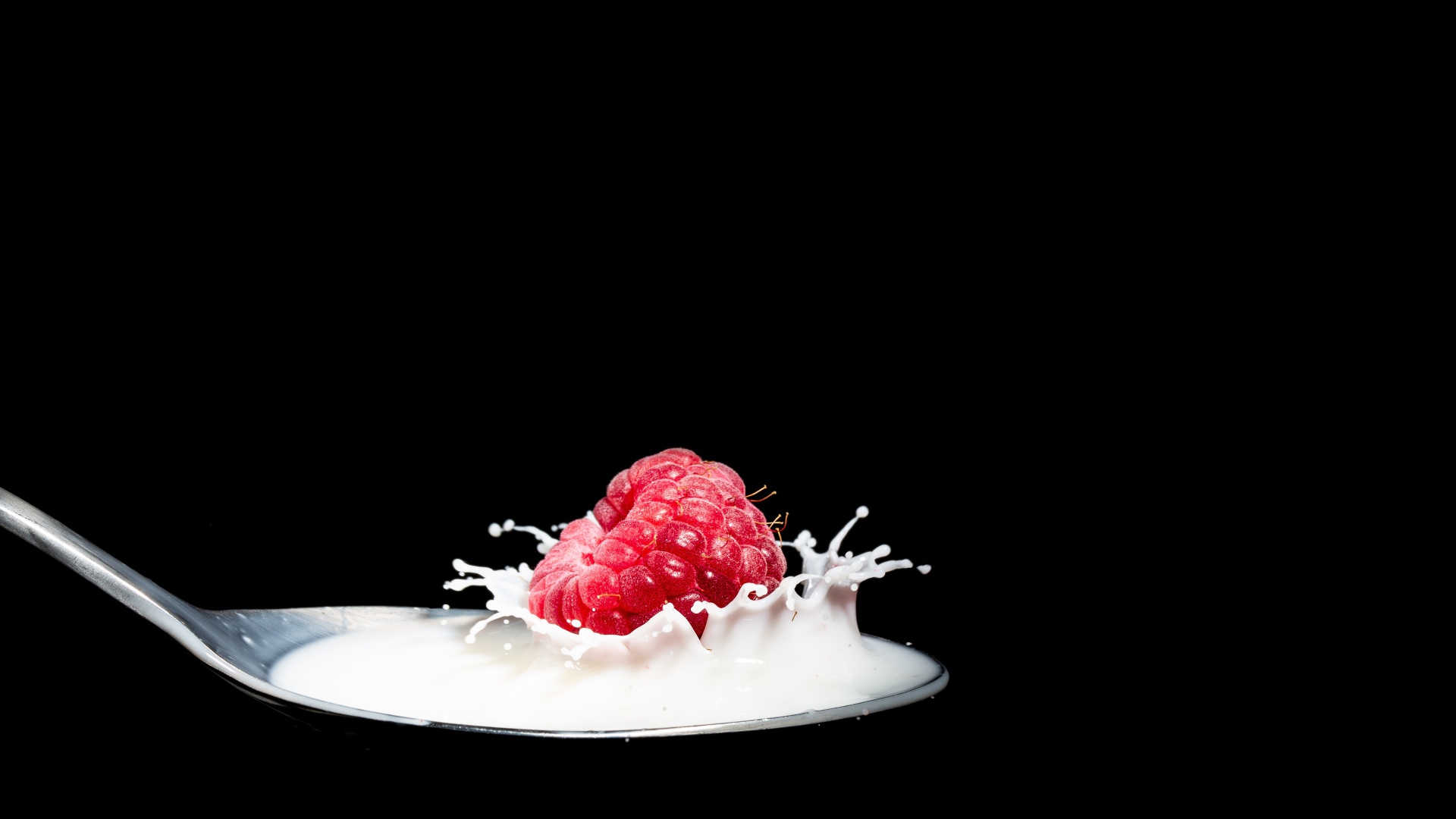 Спелая красная малина с ложке с молоком на черном фоне