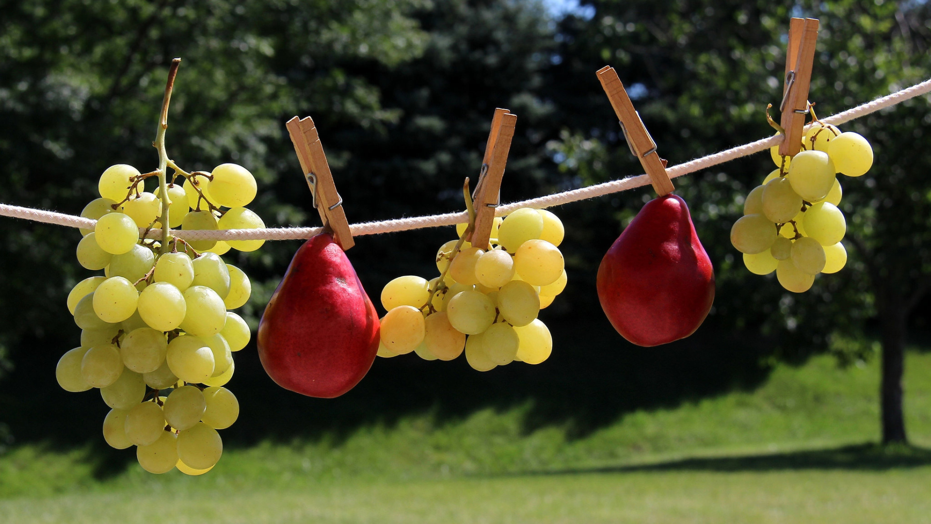 Белый виноград и красные груши на веревке
