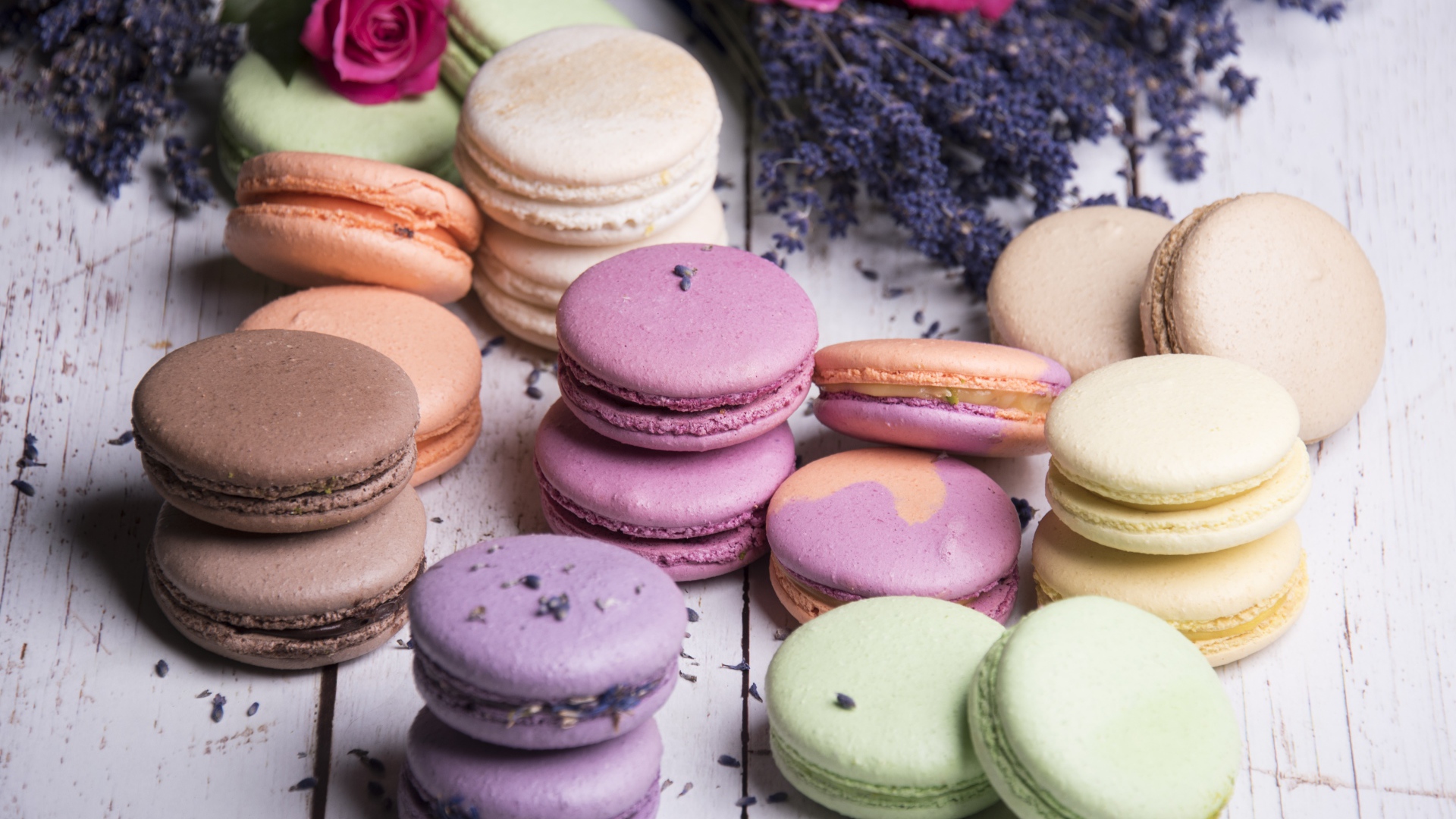 Разноцветный десерт макарон на столе с лавандой и розами