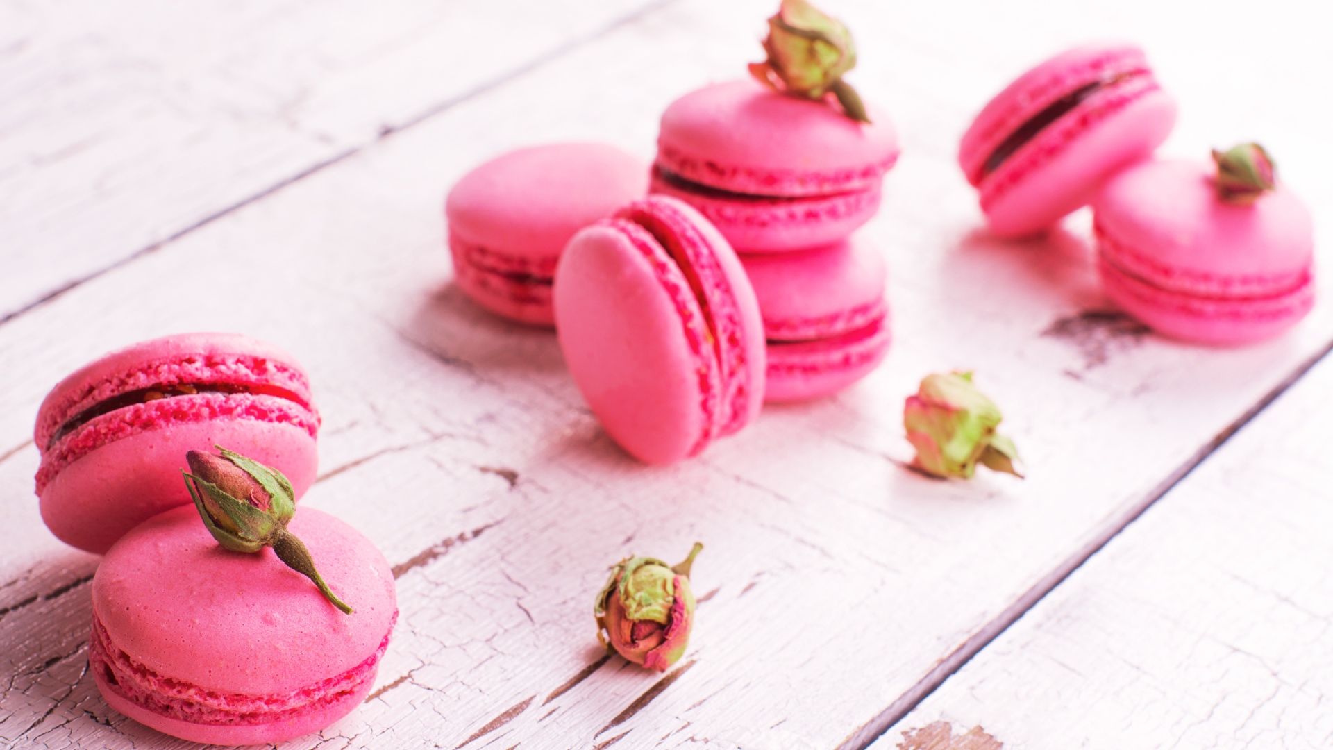 Розовый десерт макарон на столе с сухими розами