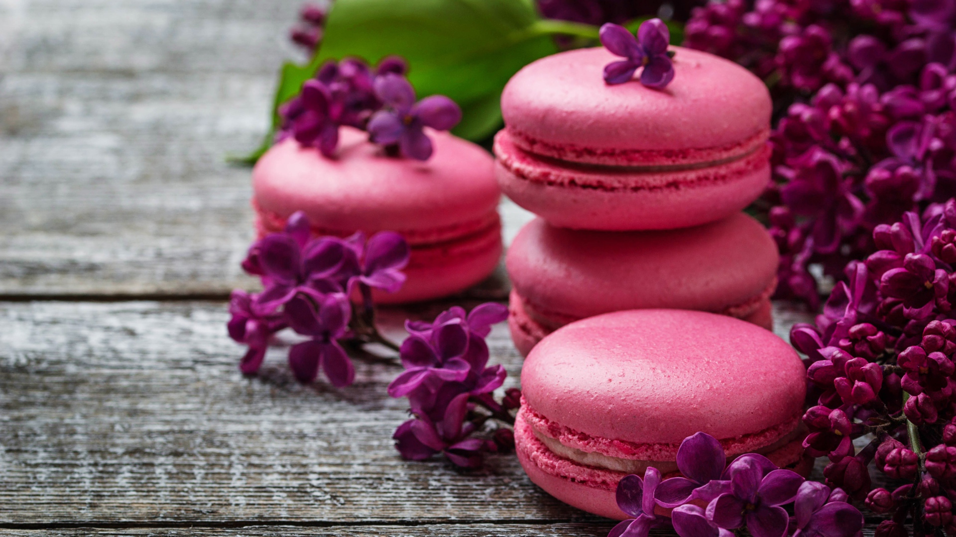 Розовый десерт макарон на столе с сиренью