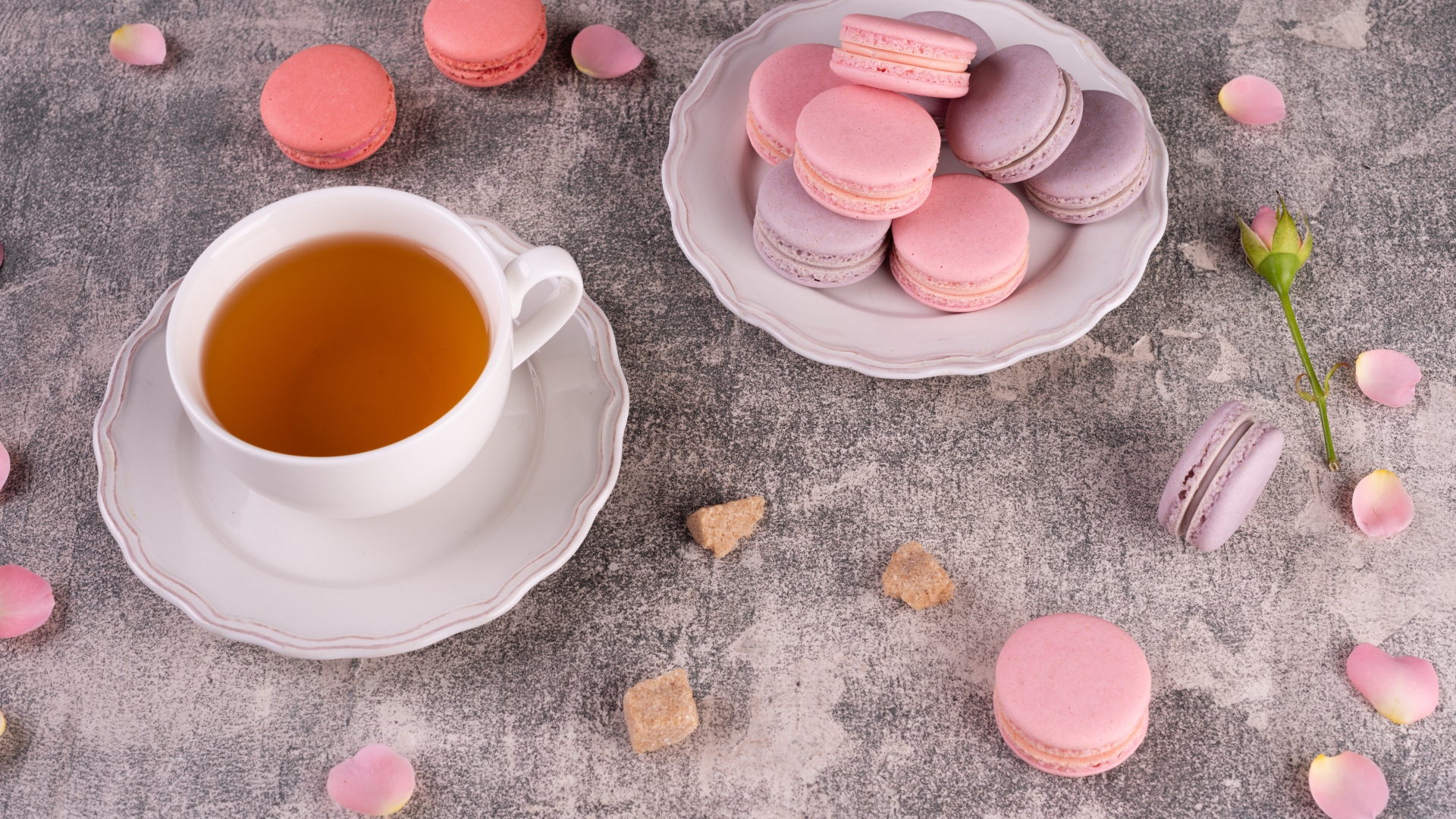 Тарелка с десертом макарун на столе с чашкой чая