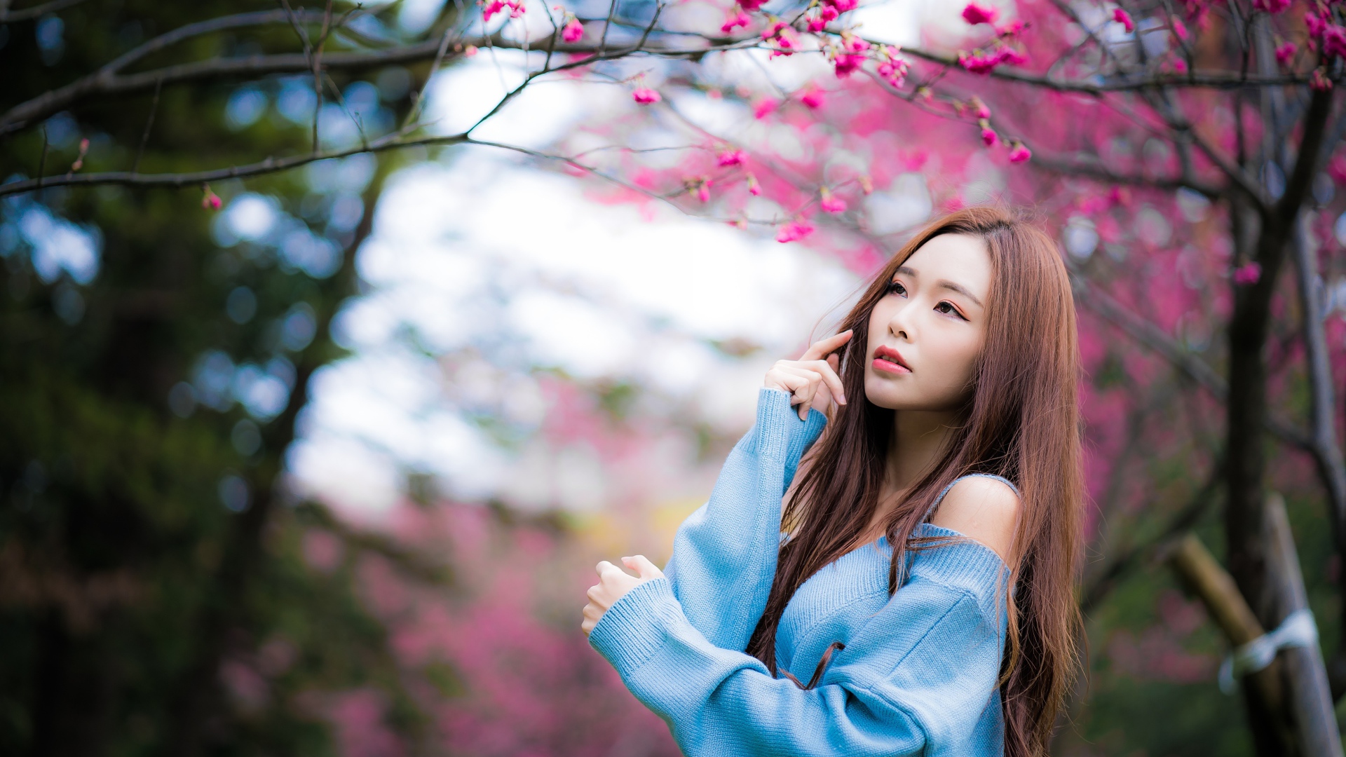 Красивая длинноволосая азиатка у дерева сакуры