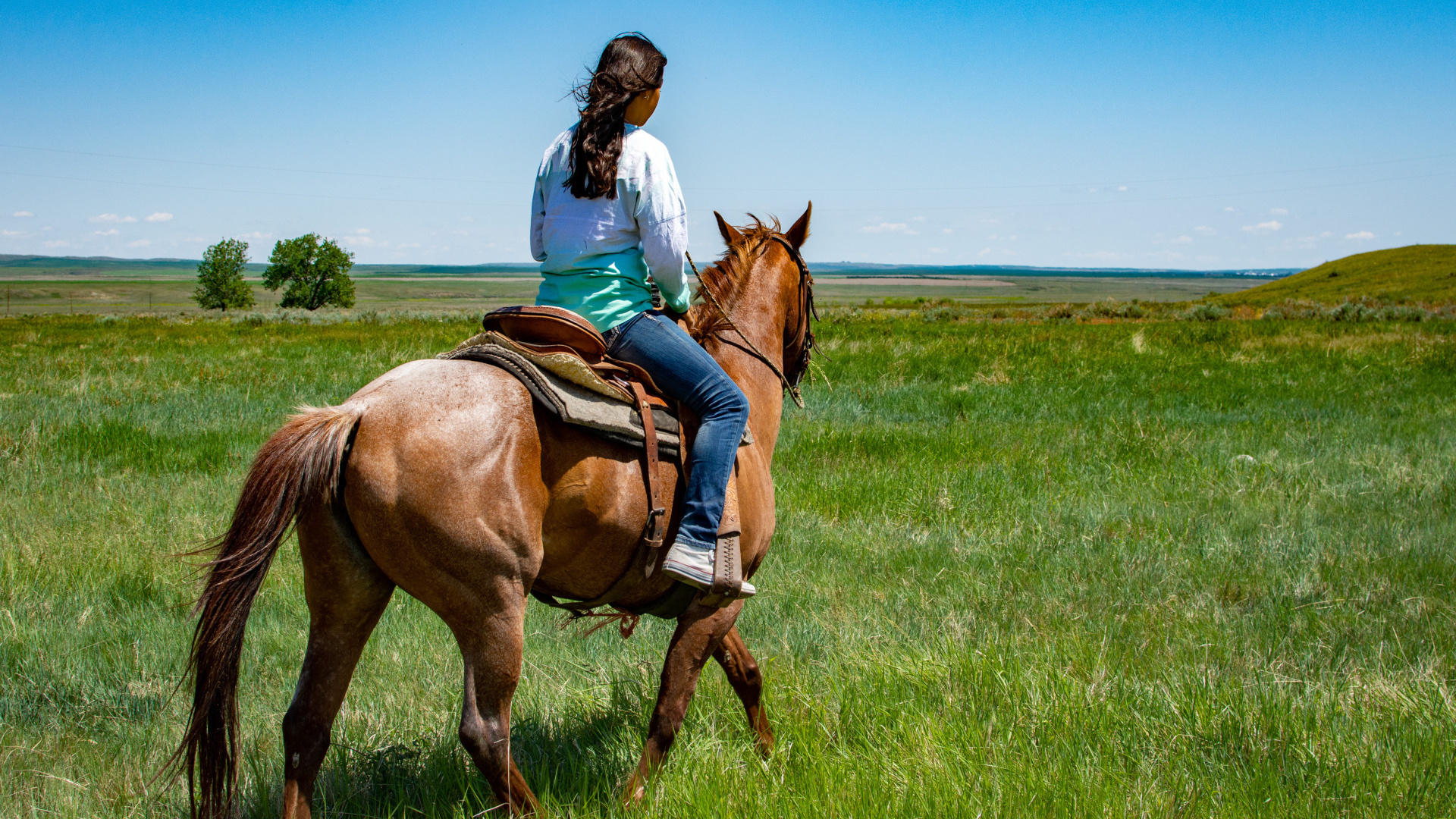 Молодая девушка едет на лошади по зеленой траве