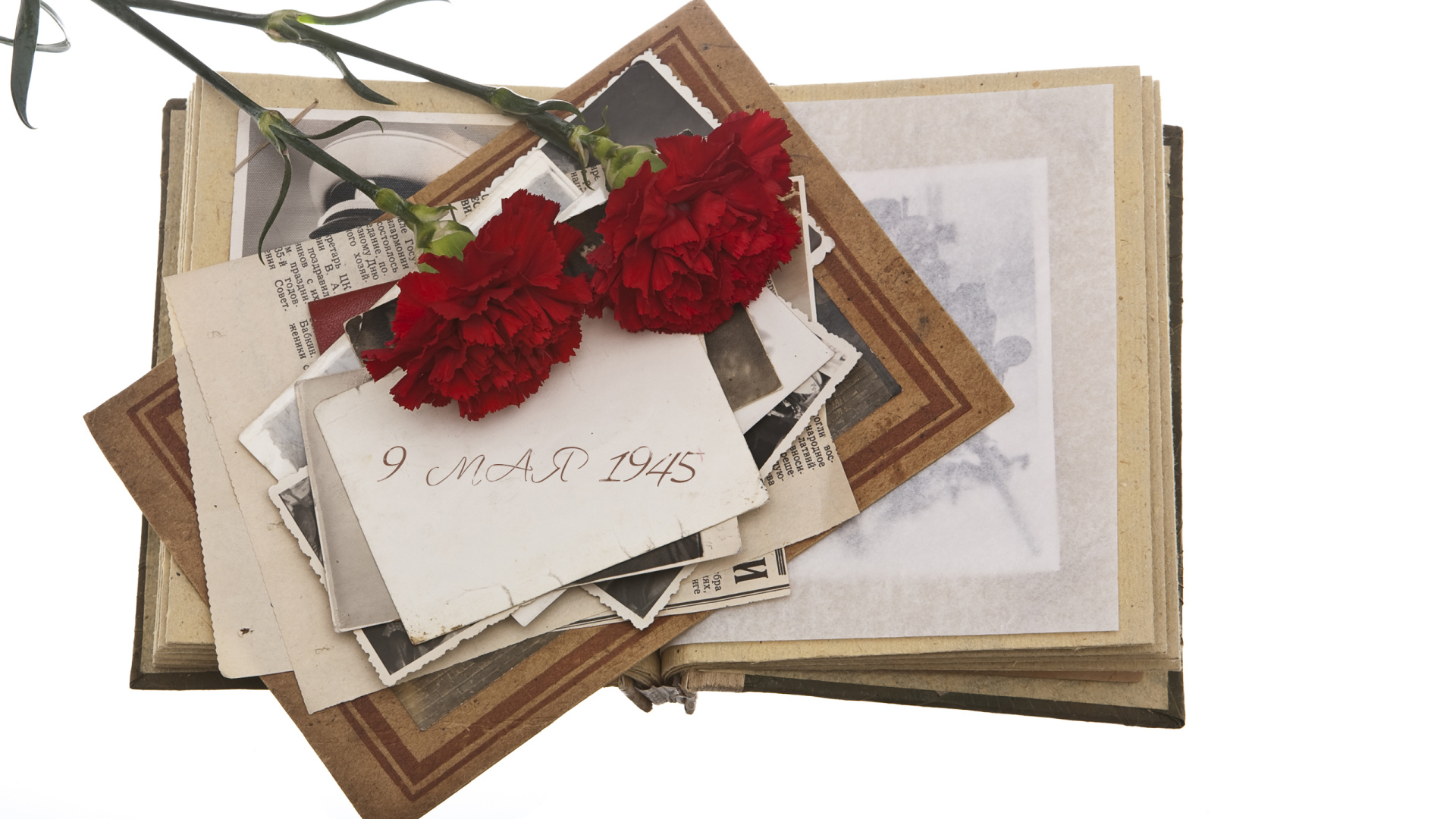 Военный альбом и две гвоздики на белом фоне на День Победы 9 мая 