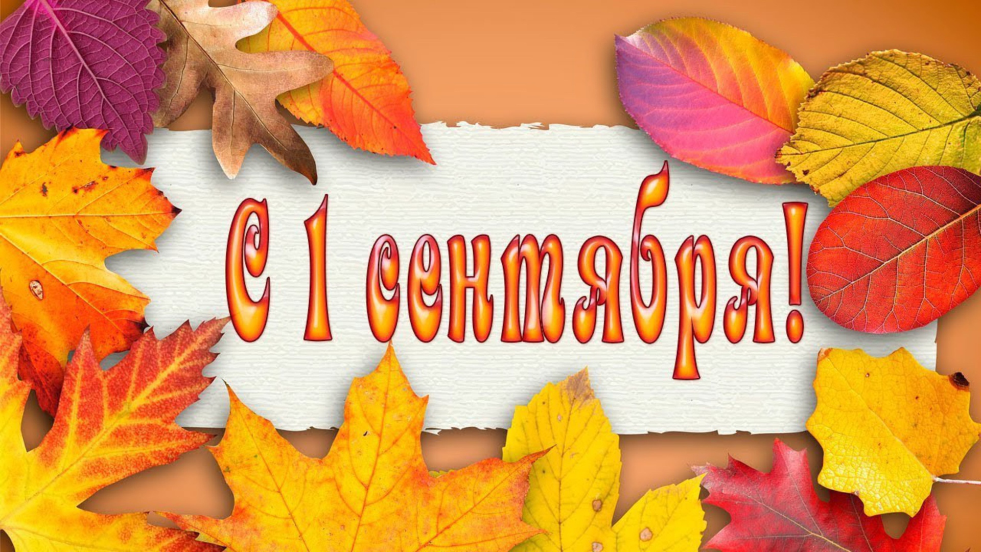 Желтые листья на 1 сентября день знаний