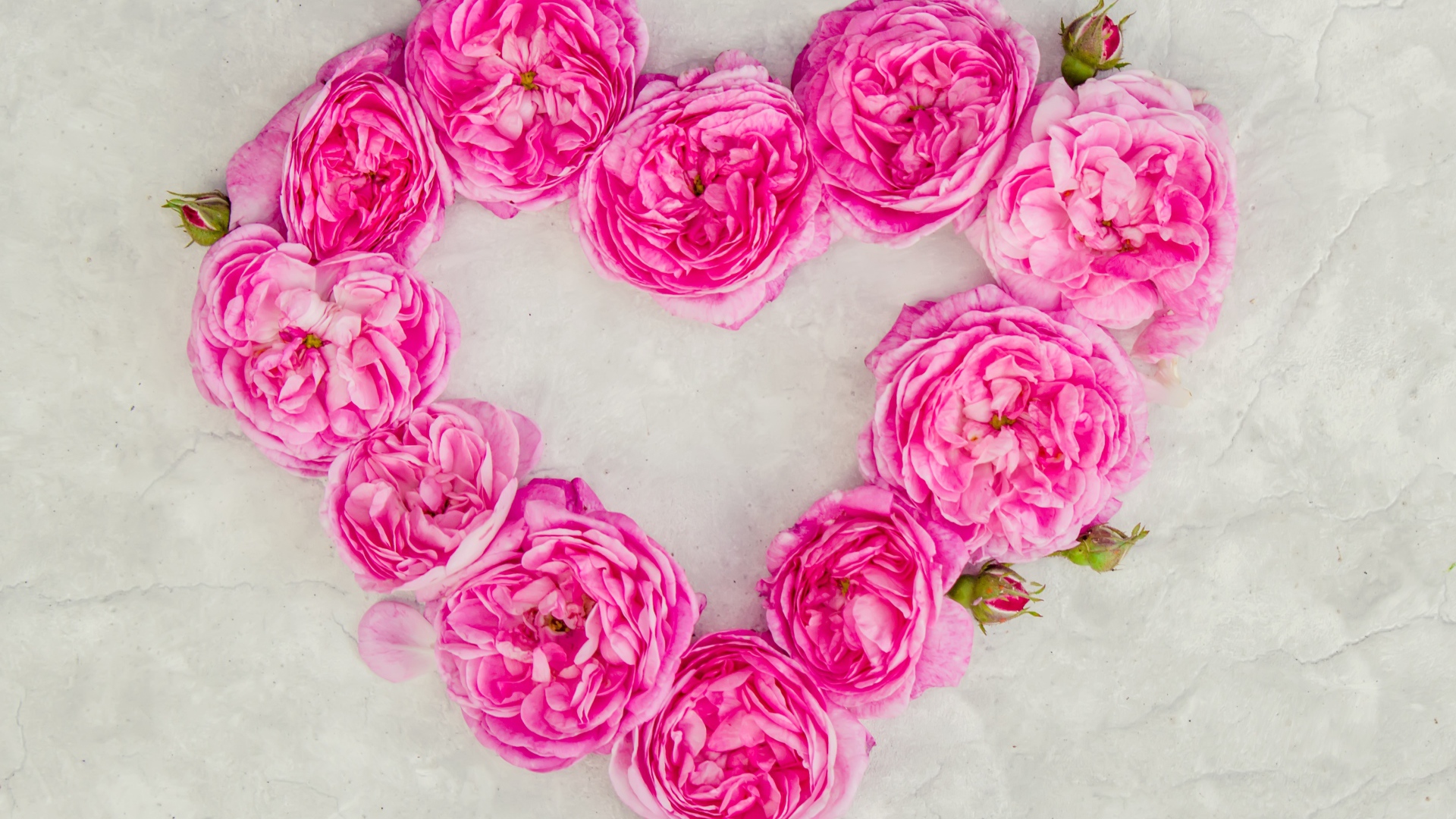 Сердце из розовых роз на сером фоне