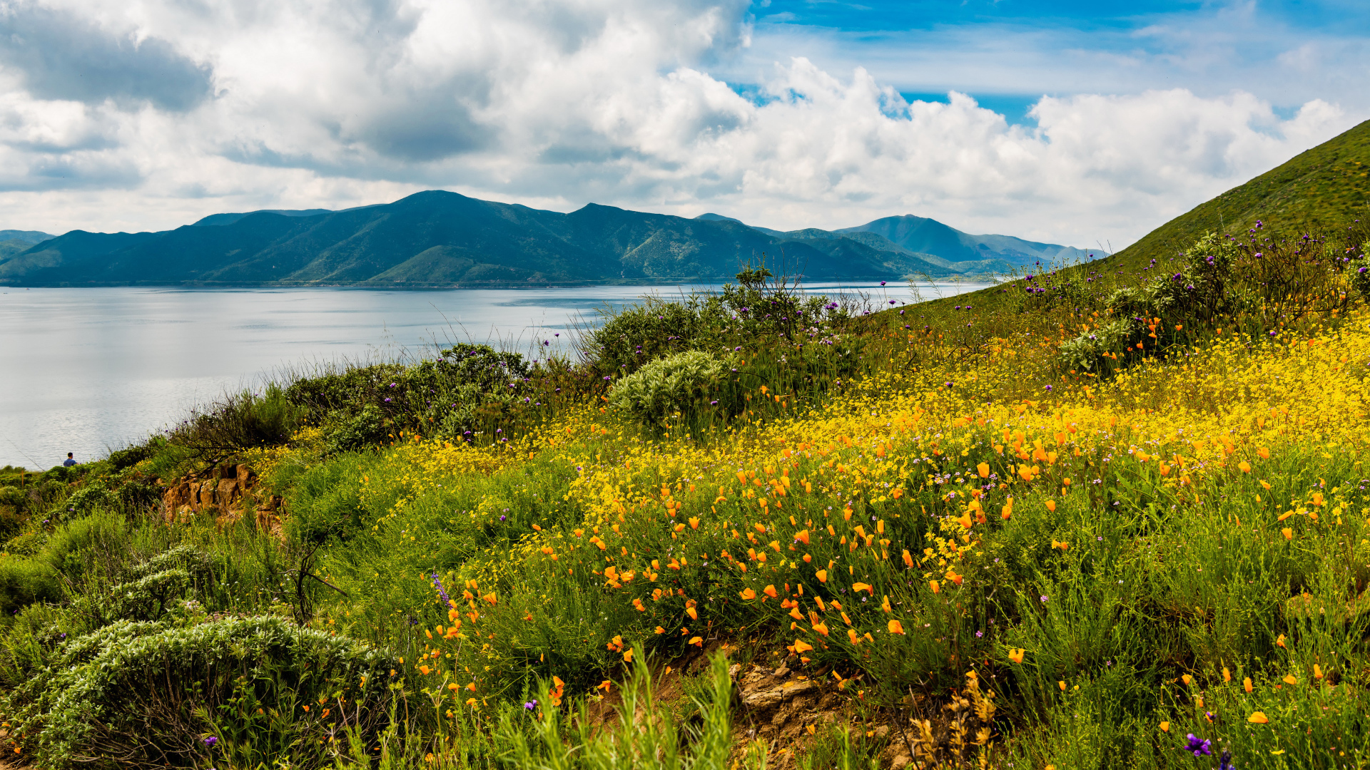 Зеленая трава на берегу озера у гор под голубым небом с облаками 