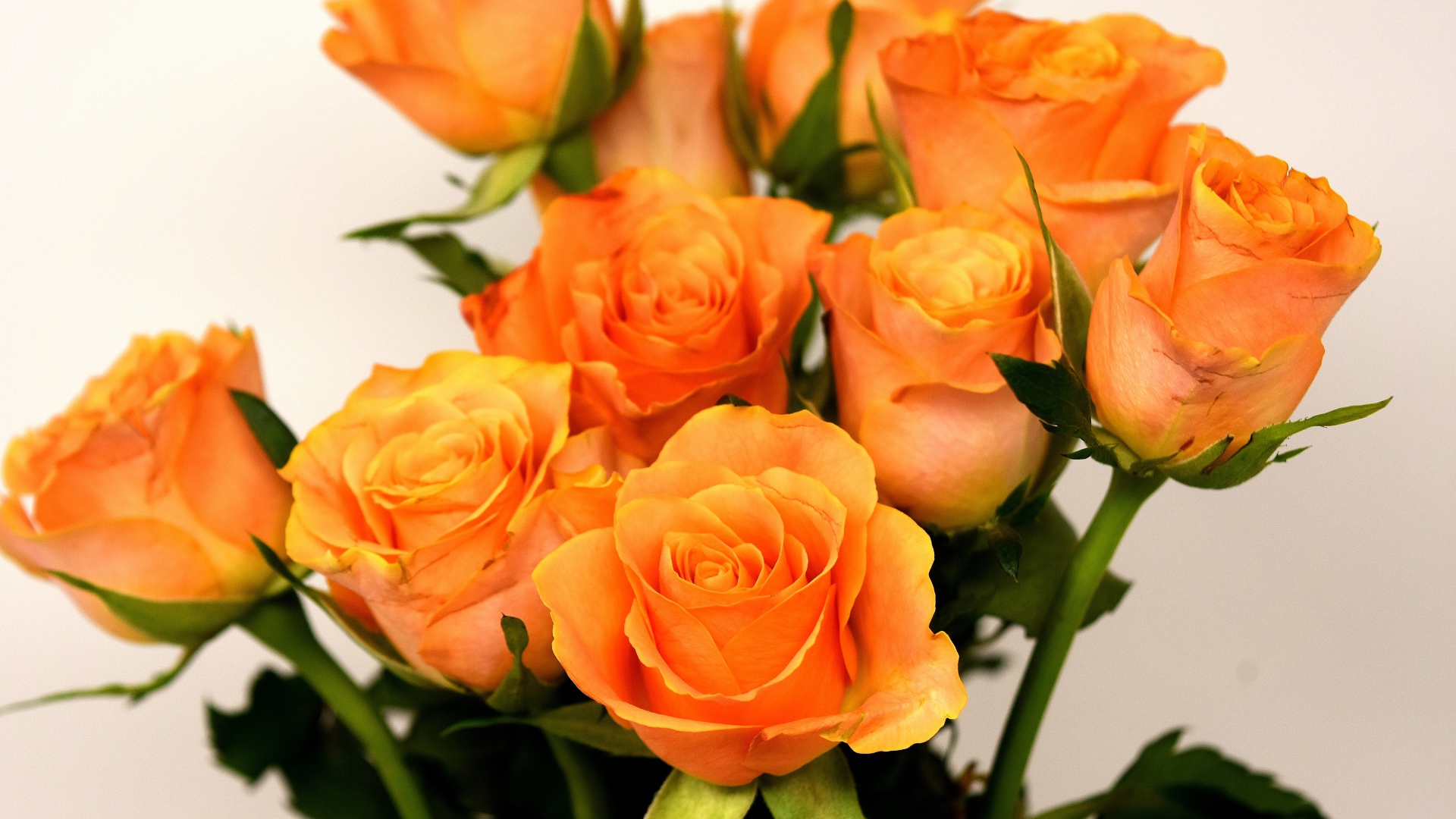 Букет красивых оранжевых роз на сером фоне