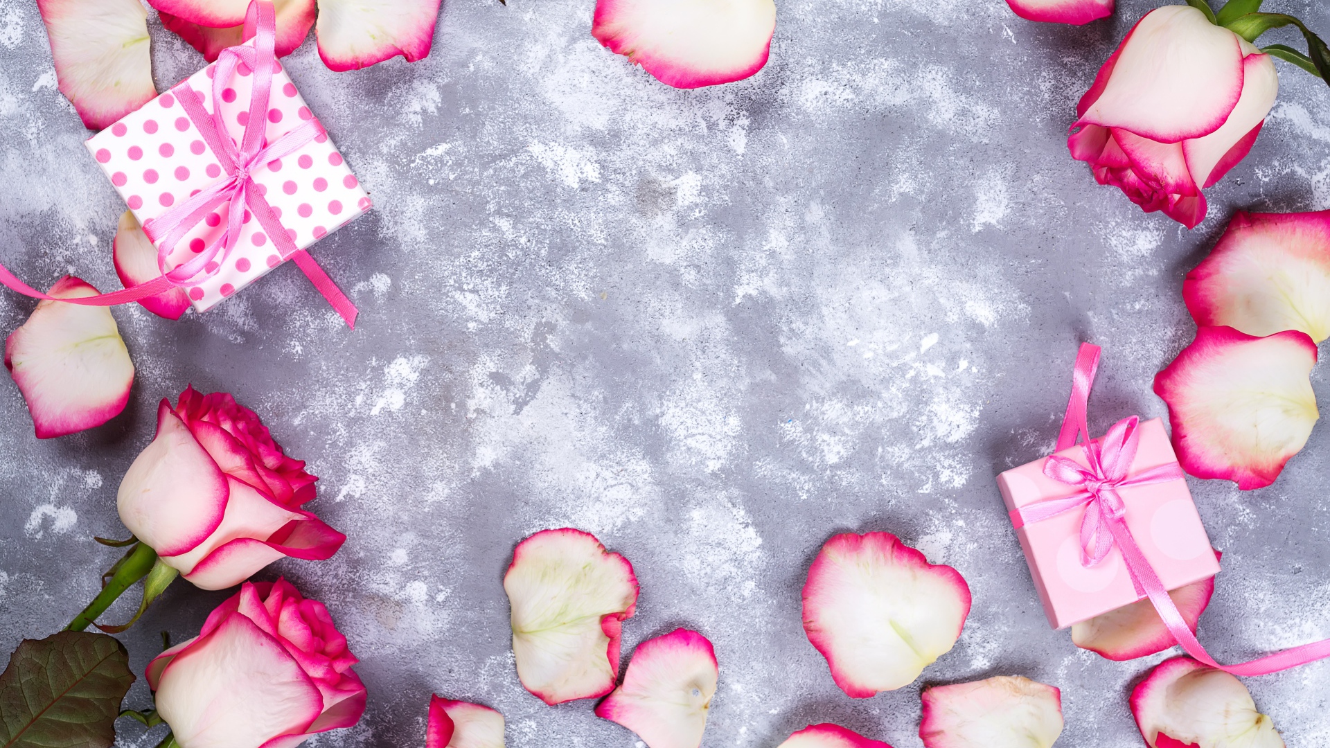 Красивые розовые розы с лепестками и подарками на сером фоне