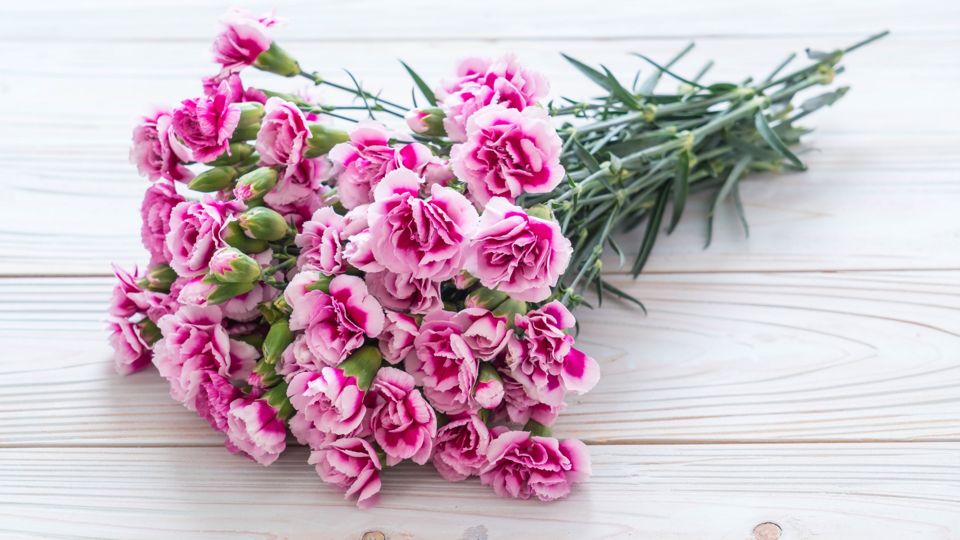 Букет розовых цветов гвоздики на столе