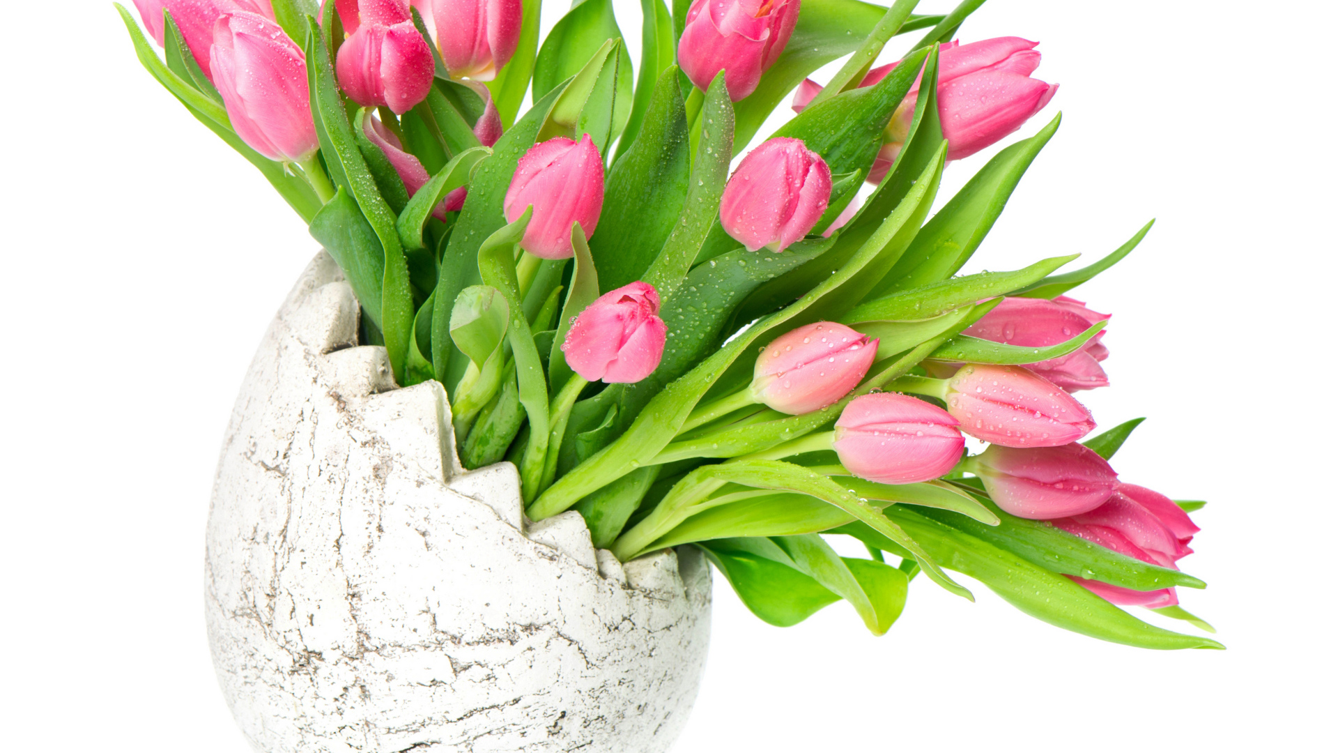 Букет розовых тюльпанов в вазе на белом фоне