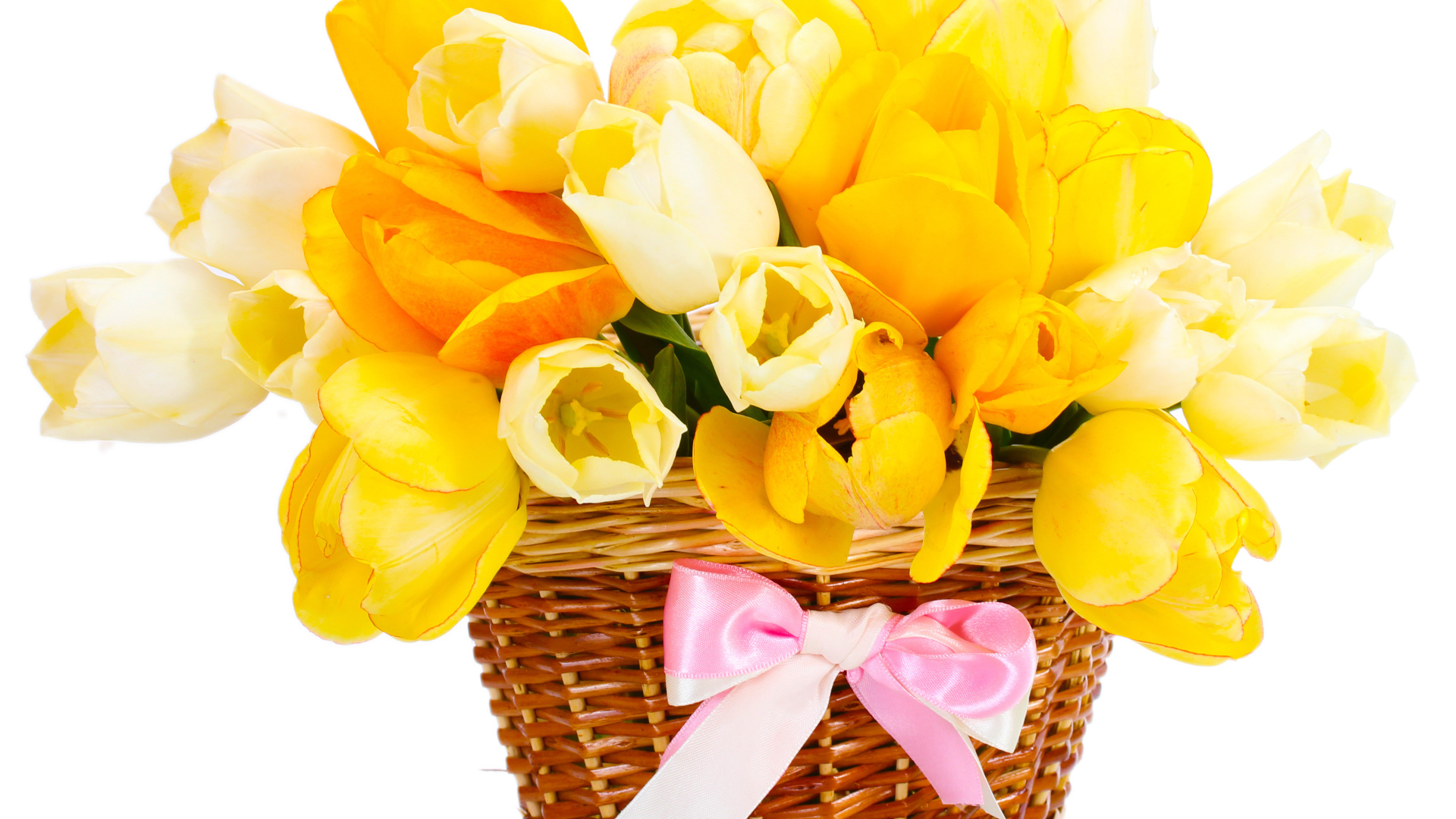 Букет желтых и белых тюльпанов в корзине с розовым бантом на белом фоне