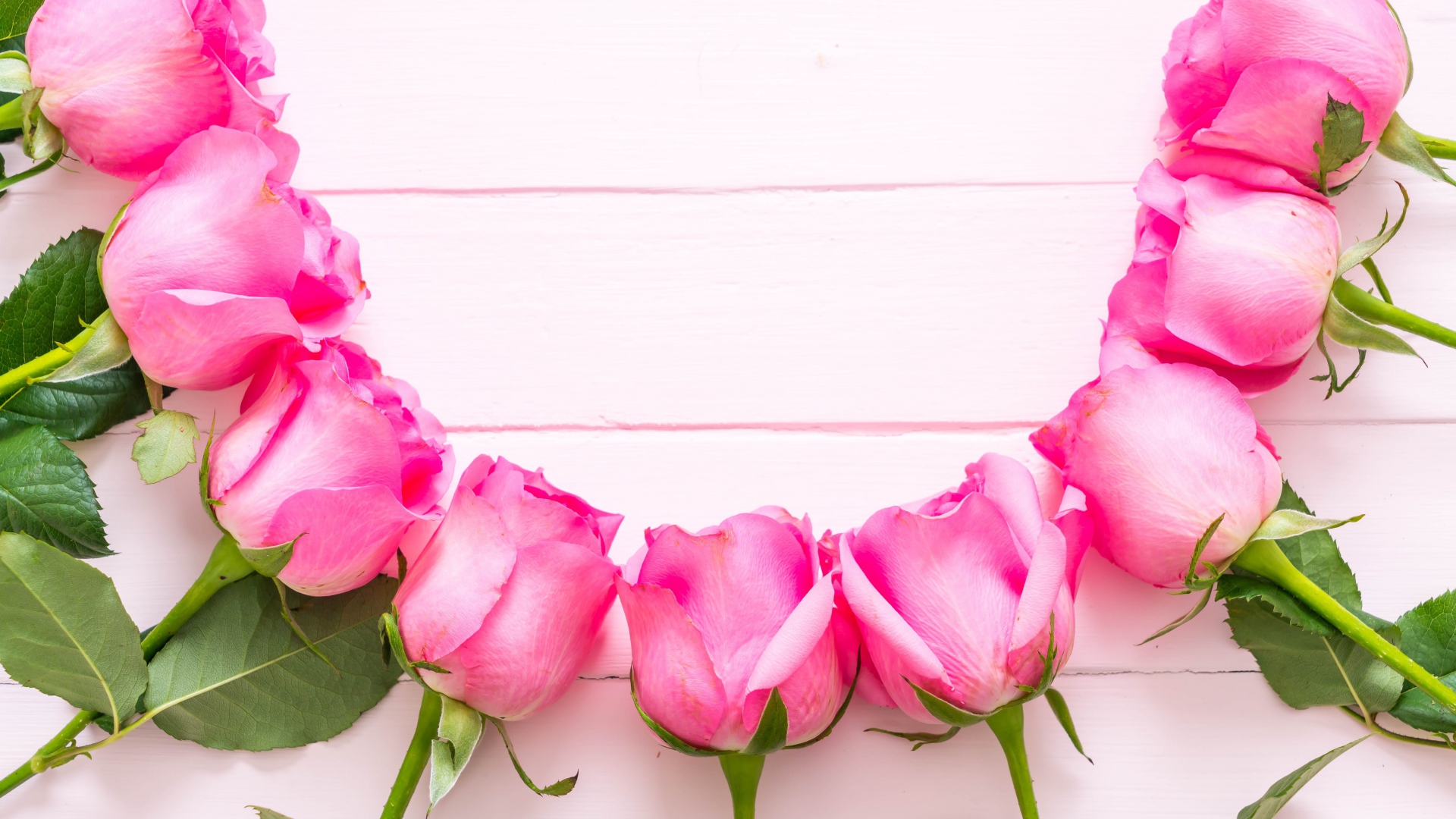 Розовые розы дугой на деревянном фоне