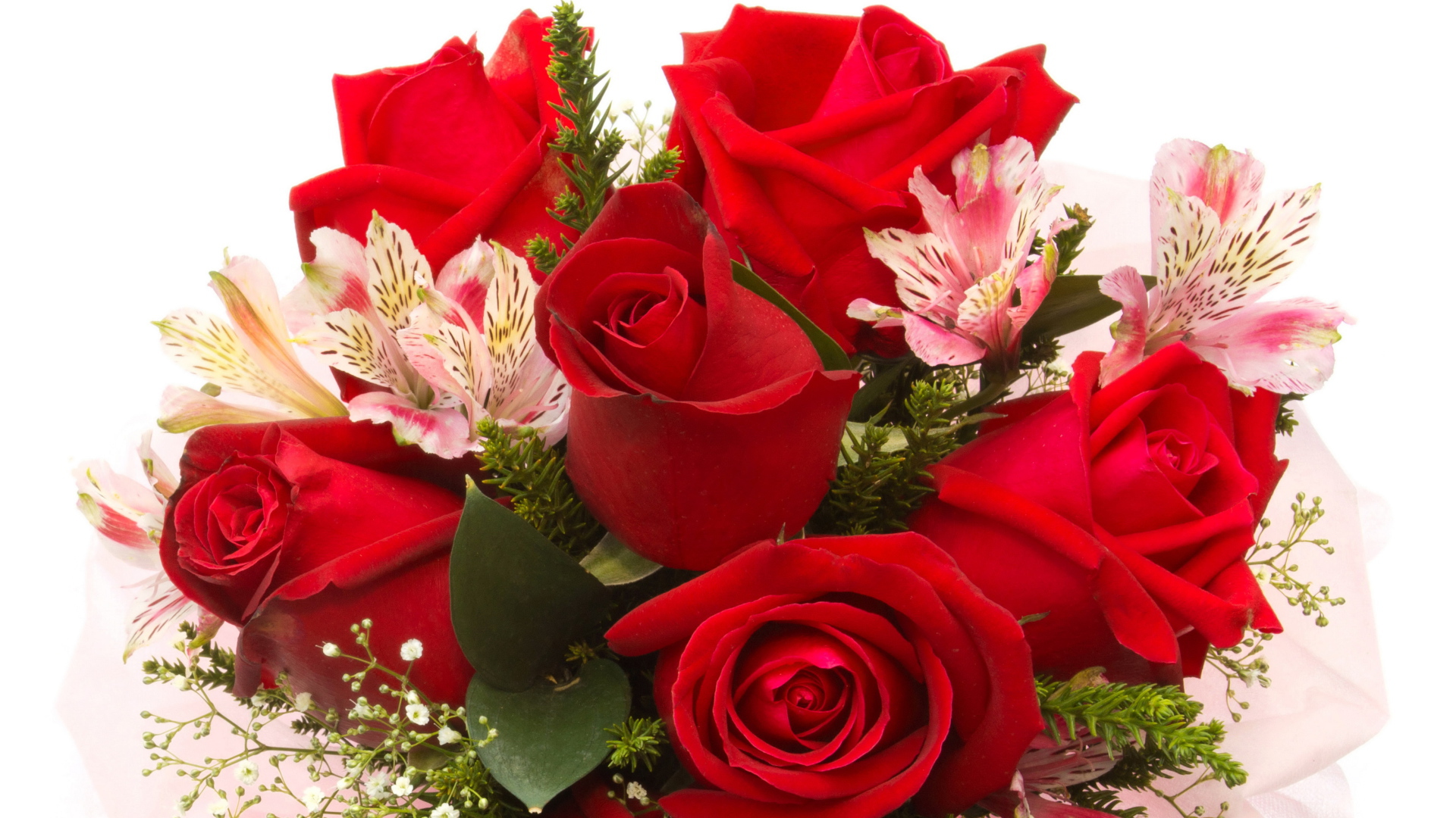 Красные розы с цветами альстромерии на белом фоне