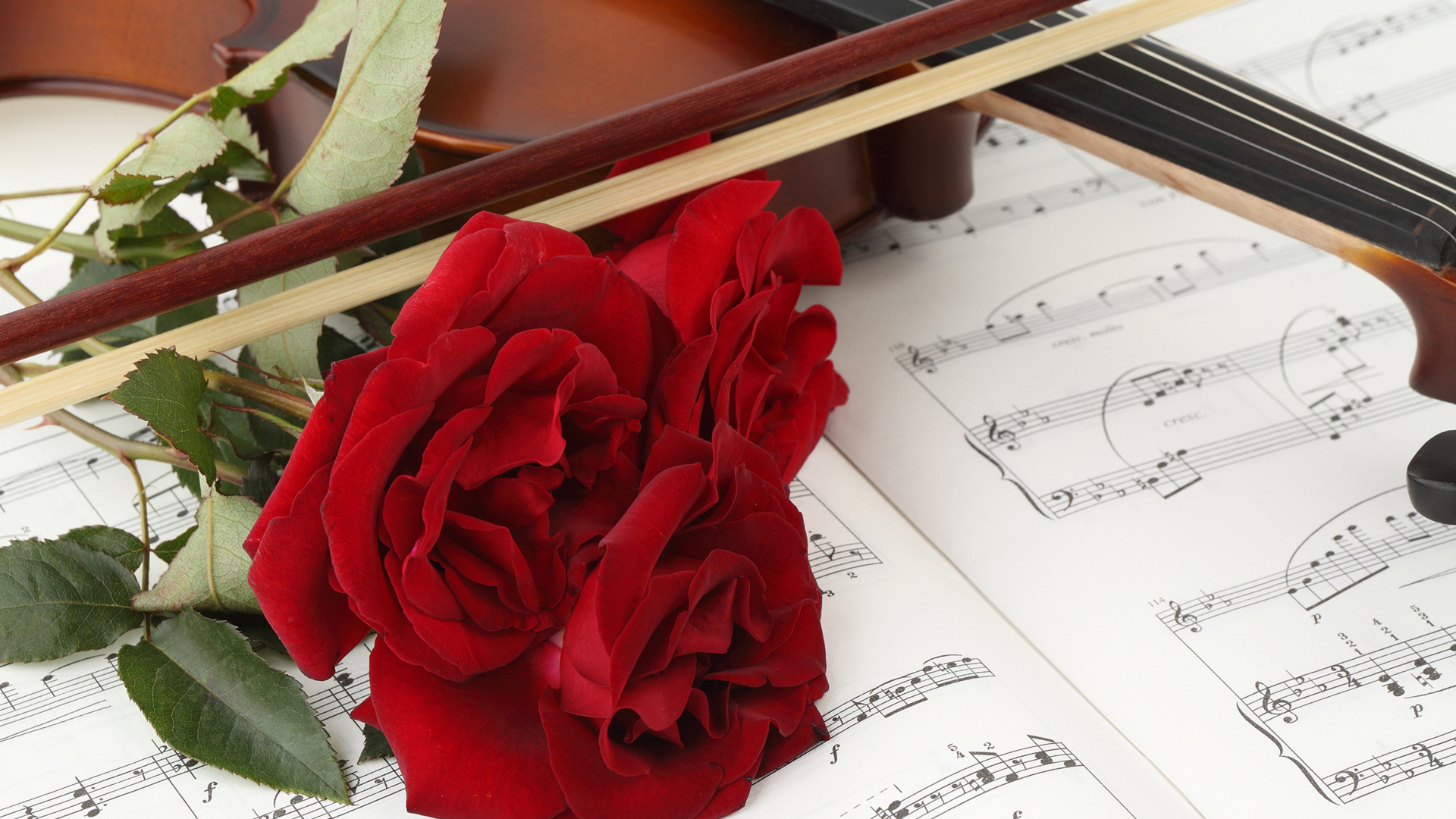 Три красных розы на нотах со скрипкой 