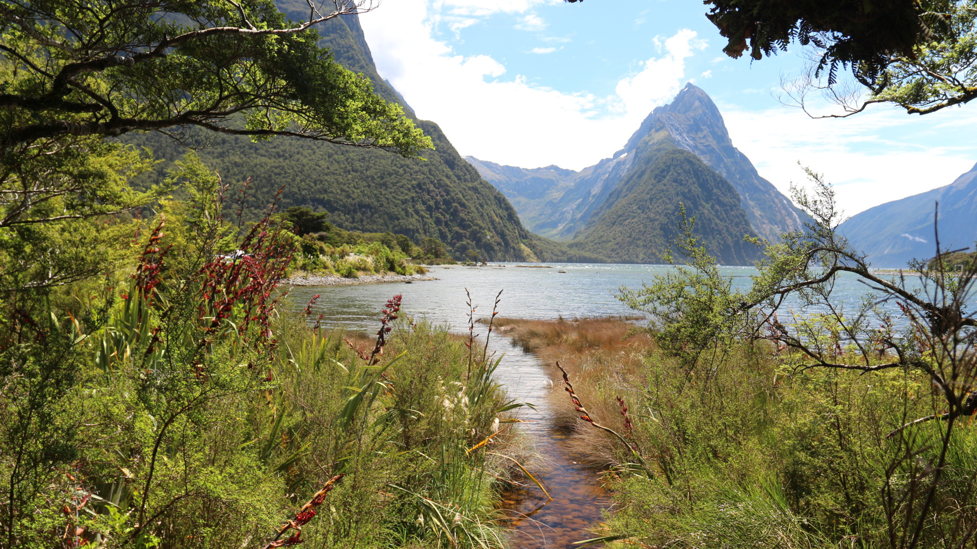 Вид на горы и озеро из лесных зарослей