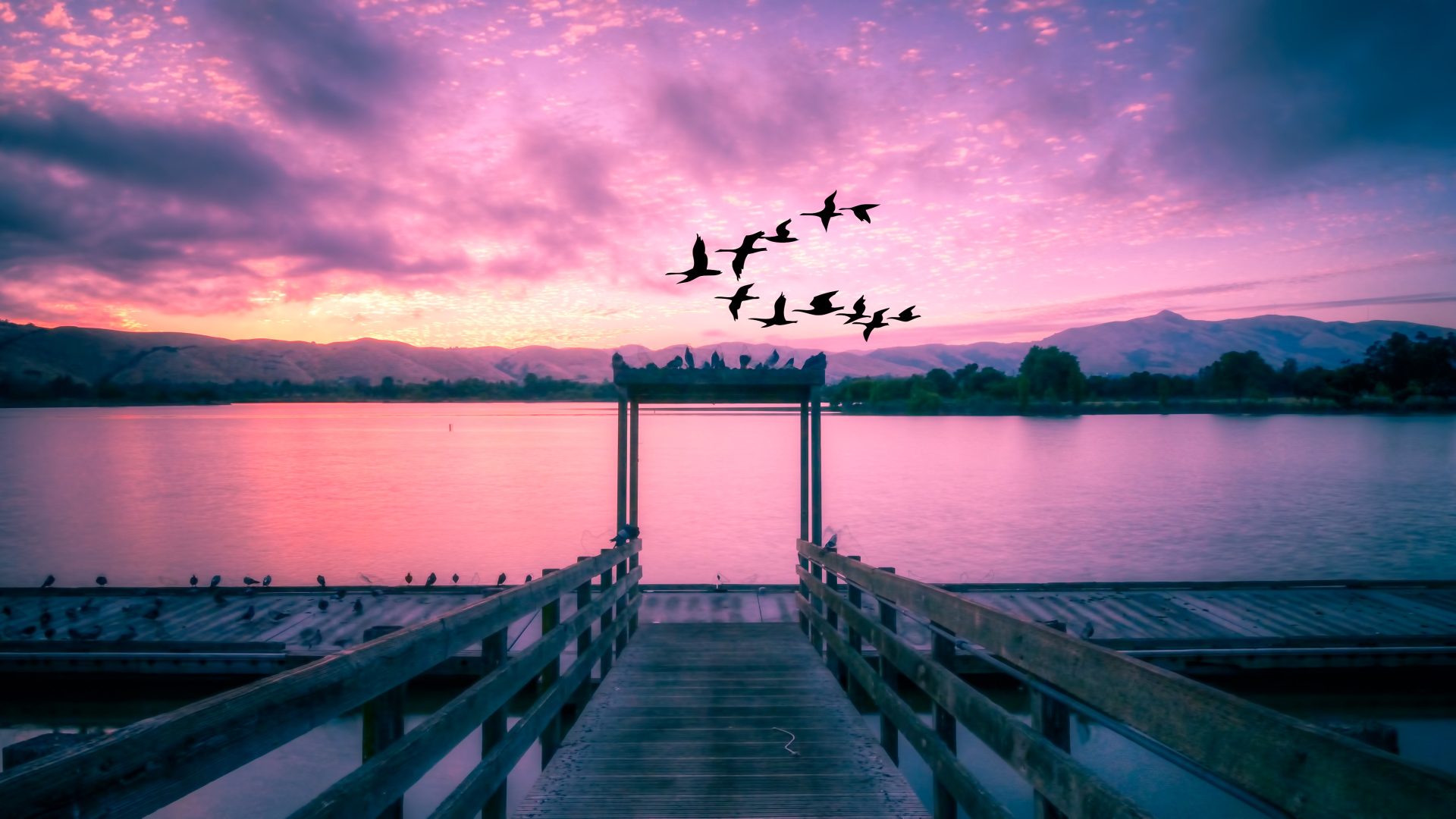 Стая птиц пролетает мимо красивого озера на закате
