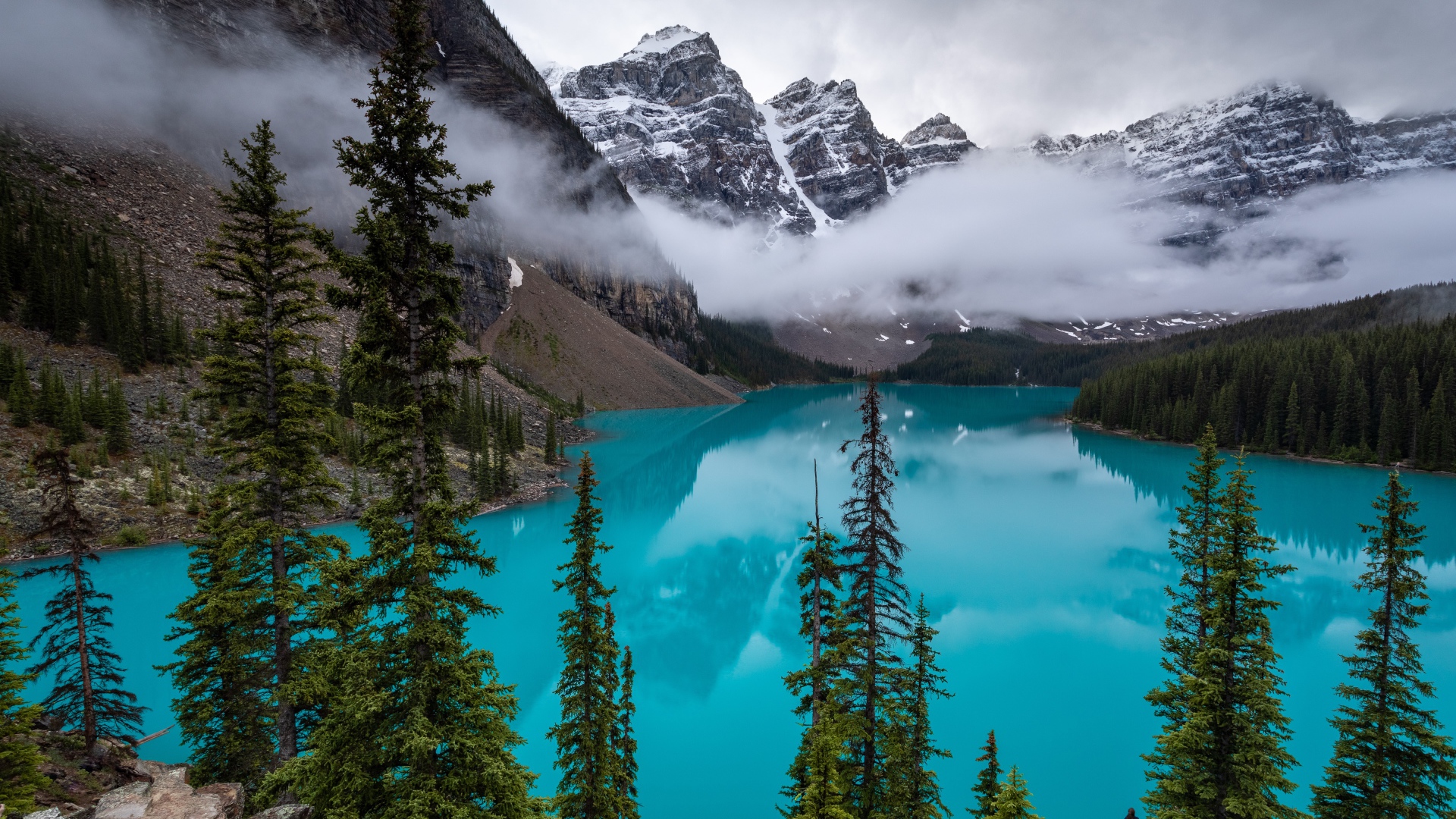 Туман над голубой водой озера в горах у леса