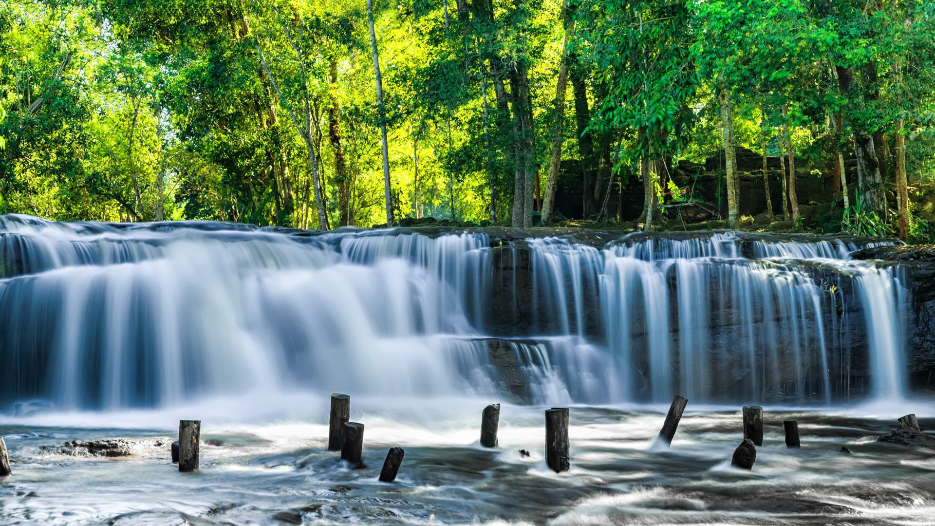 Водопад стекает с камней у зеленых деревьев