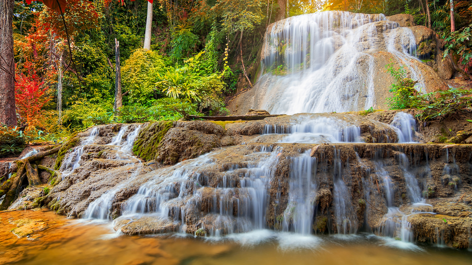 Белая быстрая вода водопада стекает по земле в лесу