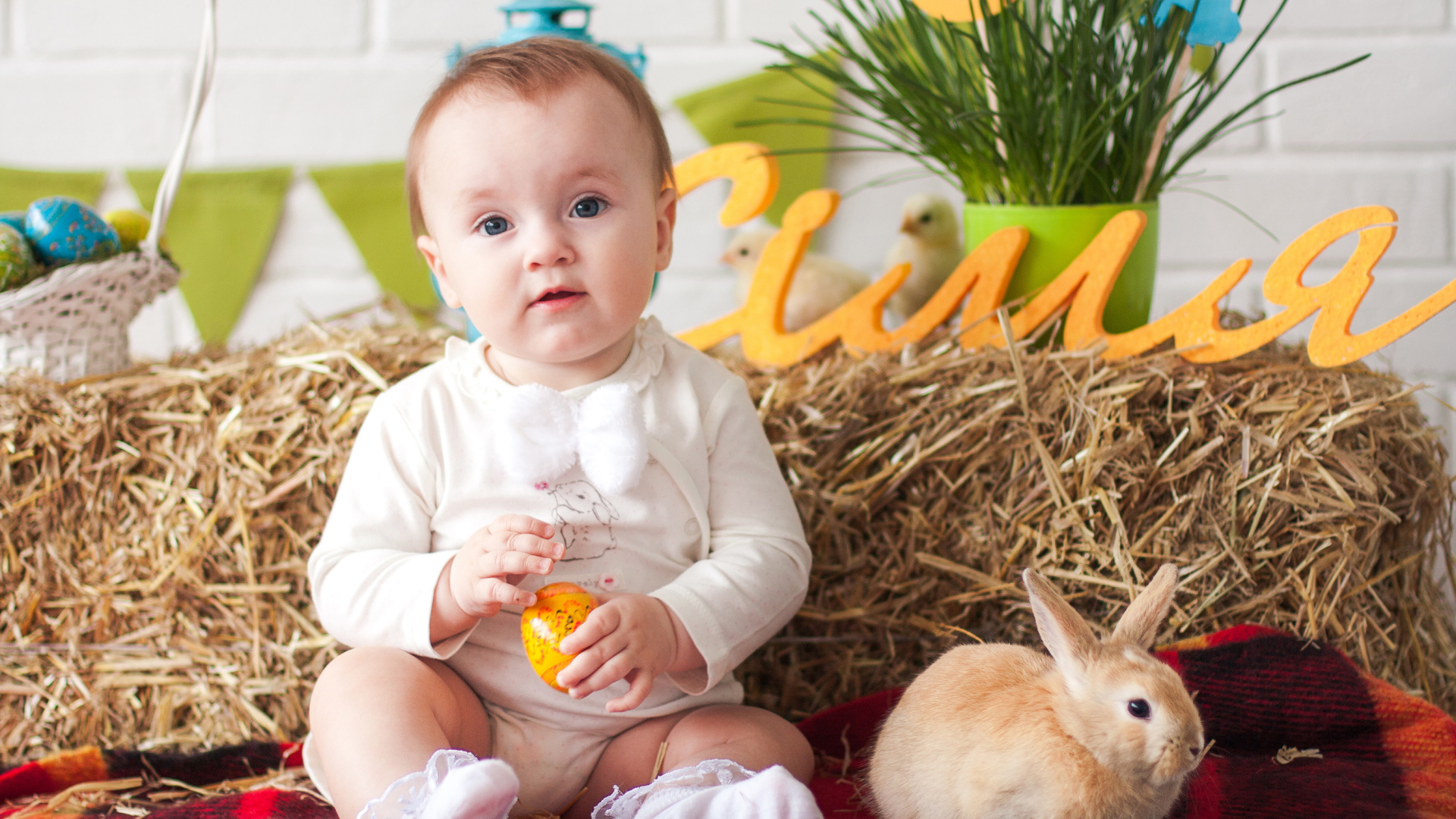 Маленький ребенок с крашеным яйцом и декоративным кроликом