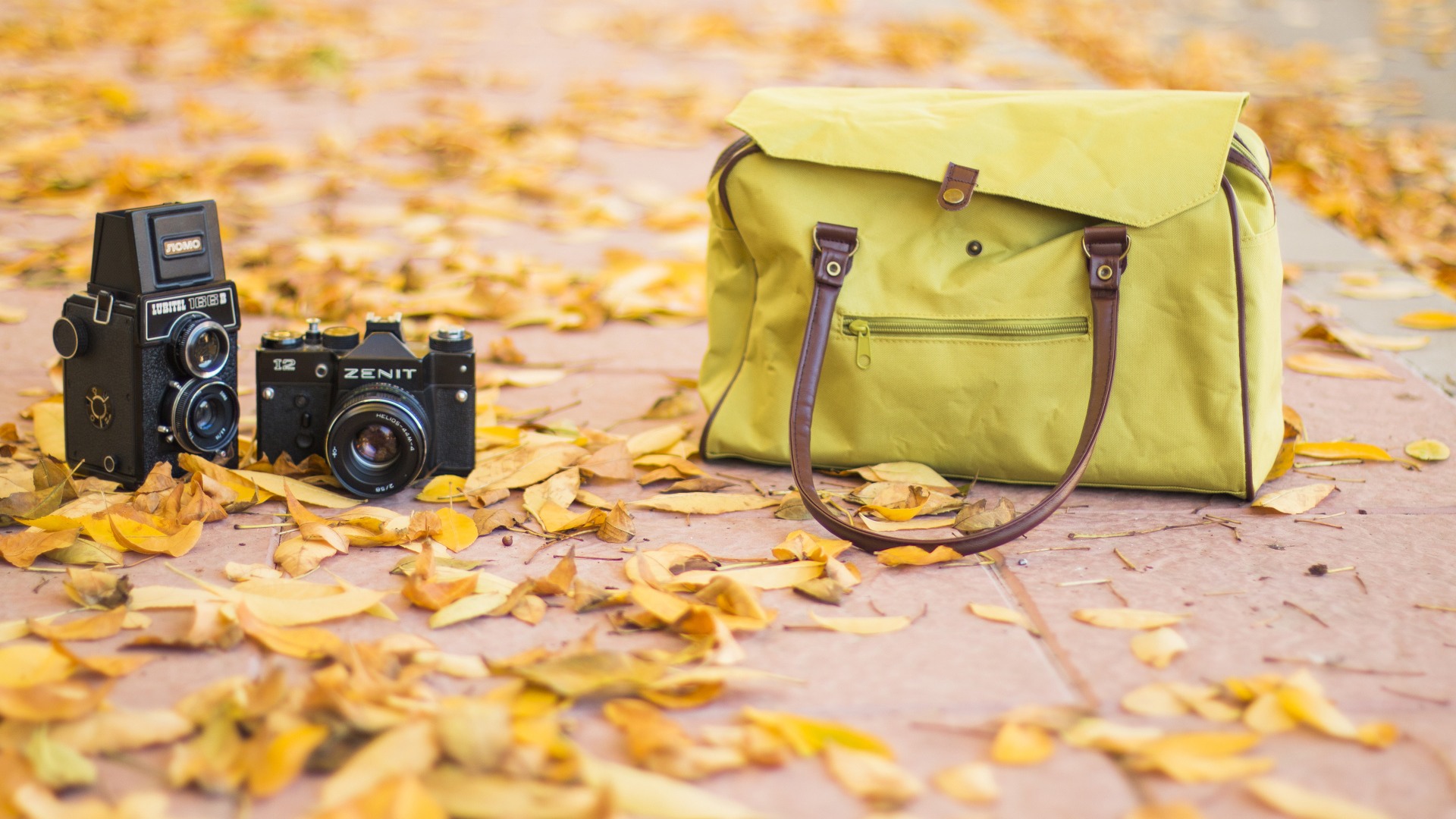Camera and bag stand on dry leaves in autumn
