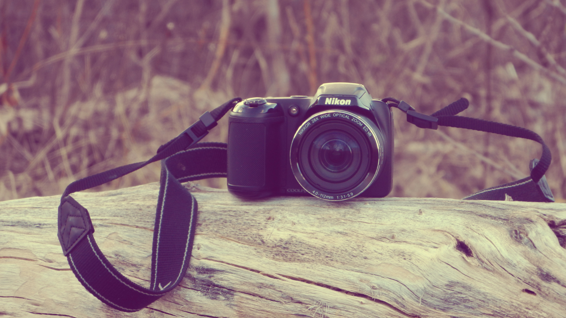 Фотоаппарат Nikon лежит на сухом дереве