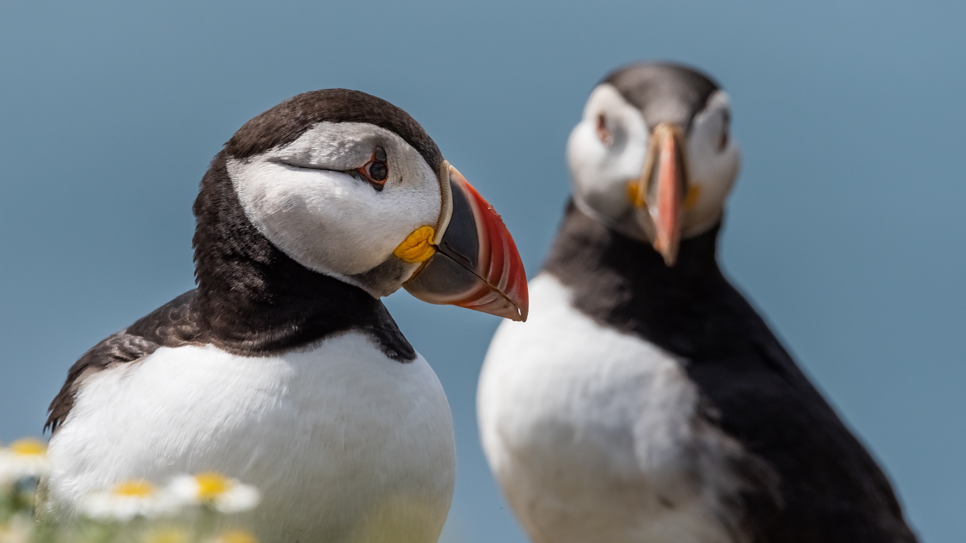 Два тупика на фоне голубого неба 