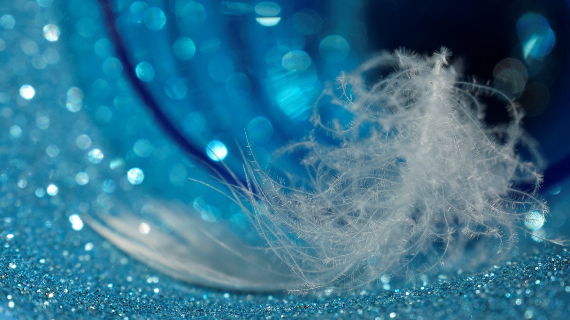 Белое легкое перо лежит на блестящей голубой поверхности 