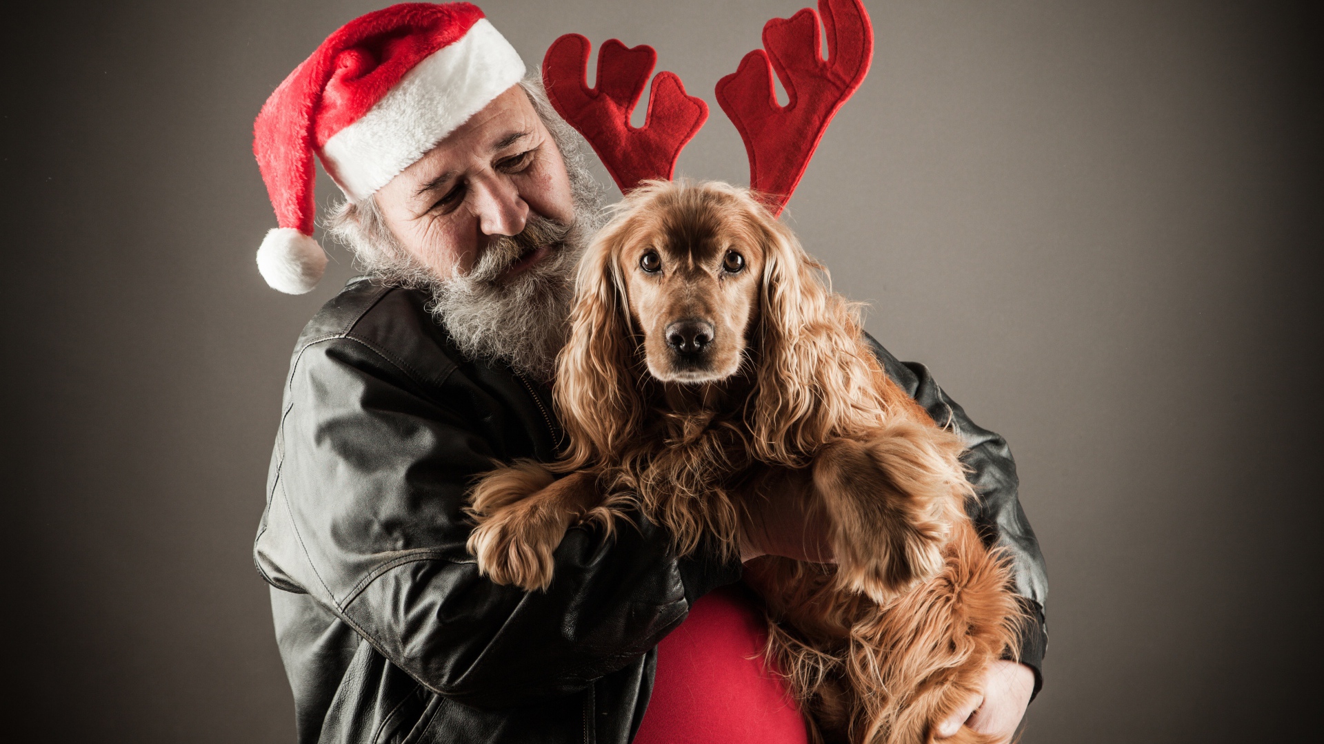 Санта Клаус с собакой в руках на сером фоне