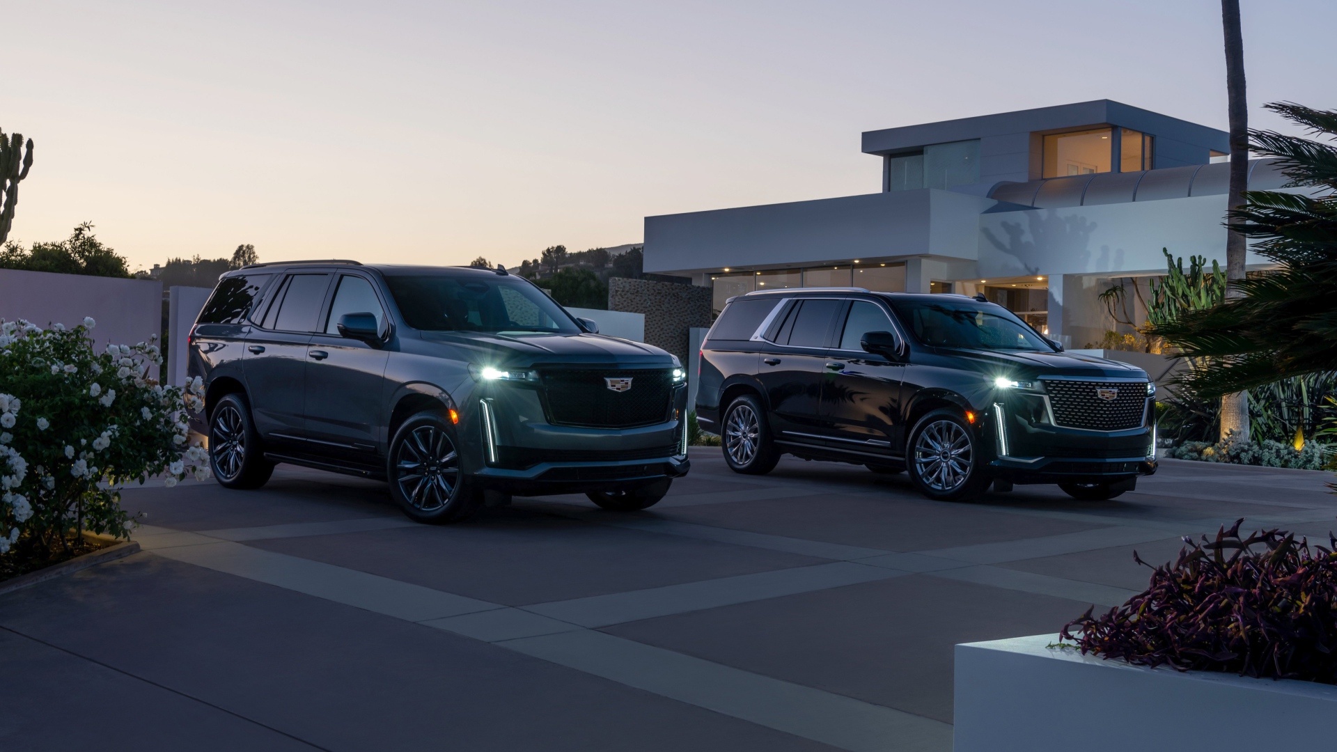 Два дорогих автомобиля  Cadillac Escalade, 2021 года у дома